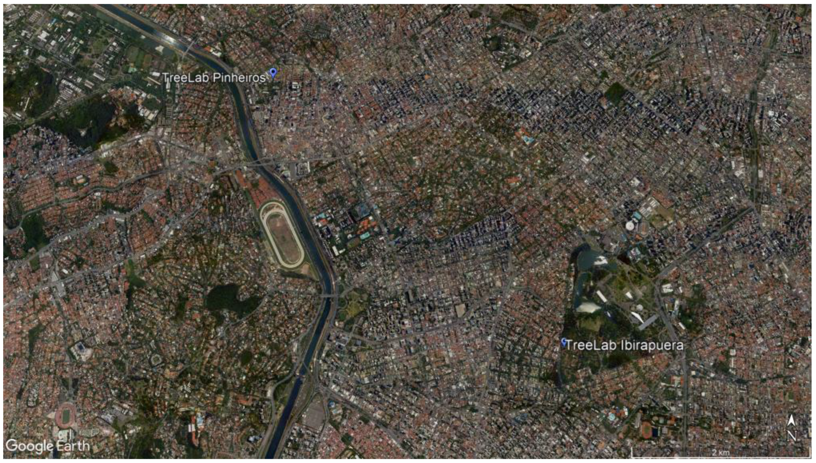 Forests 15 01239 g001 Forests 15 01239 g001