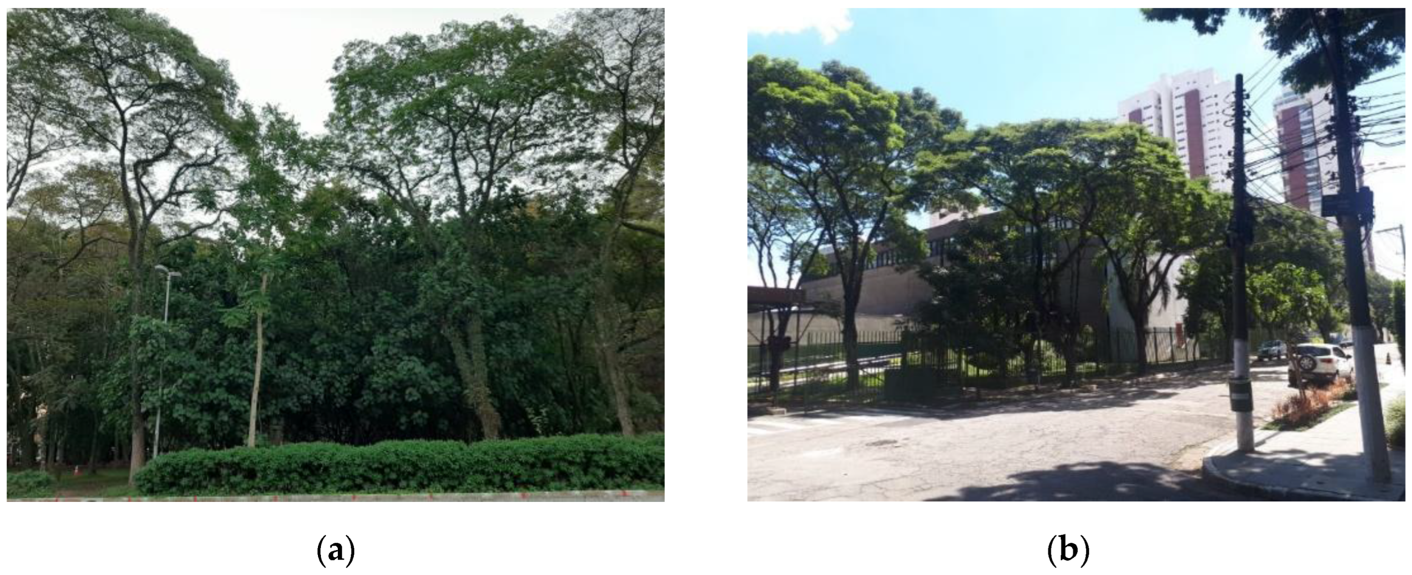 Forests 15 01239 g003 Forests 15 01239 g003