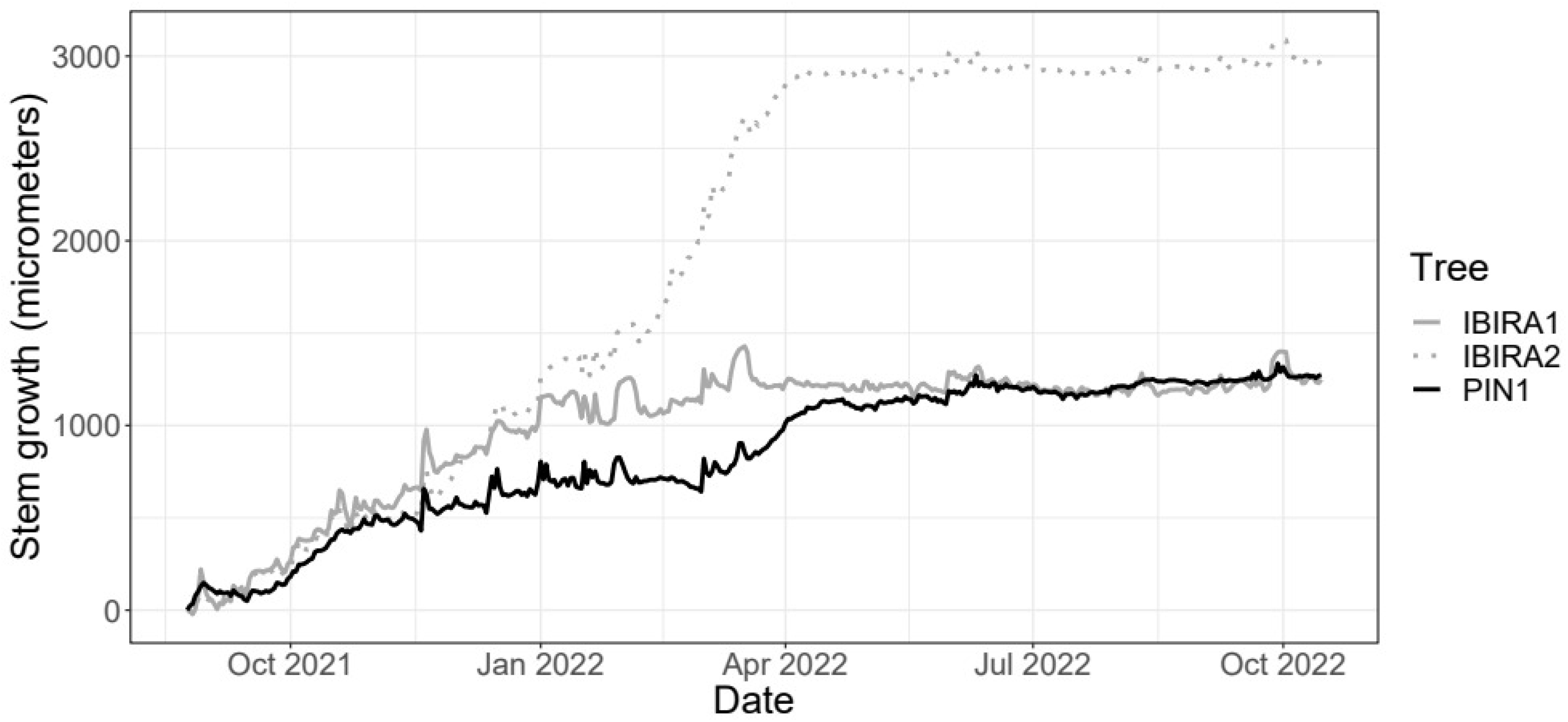 Forests 15 01239 g006 Forests 15 01239 g006