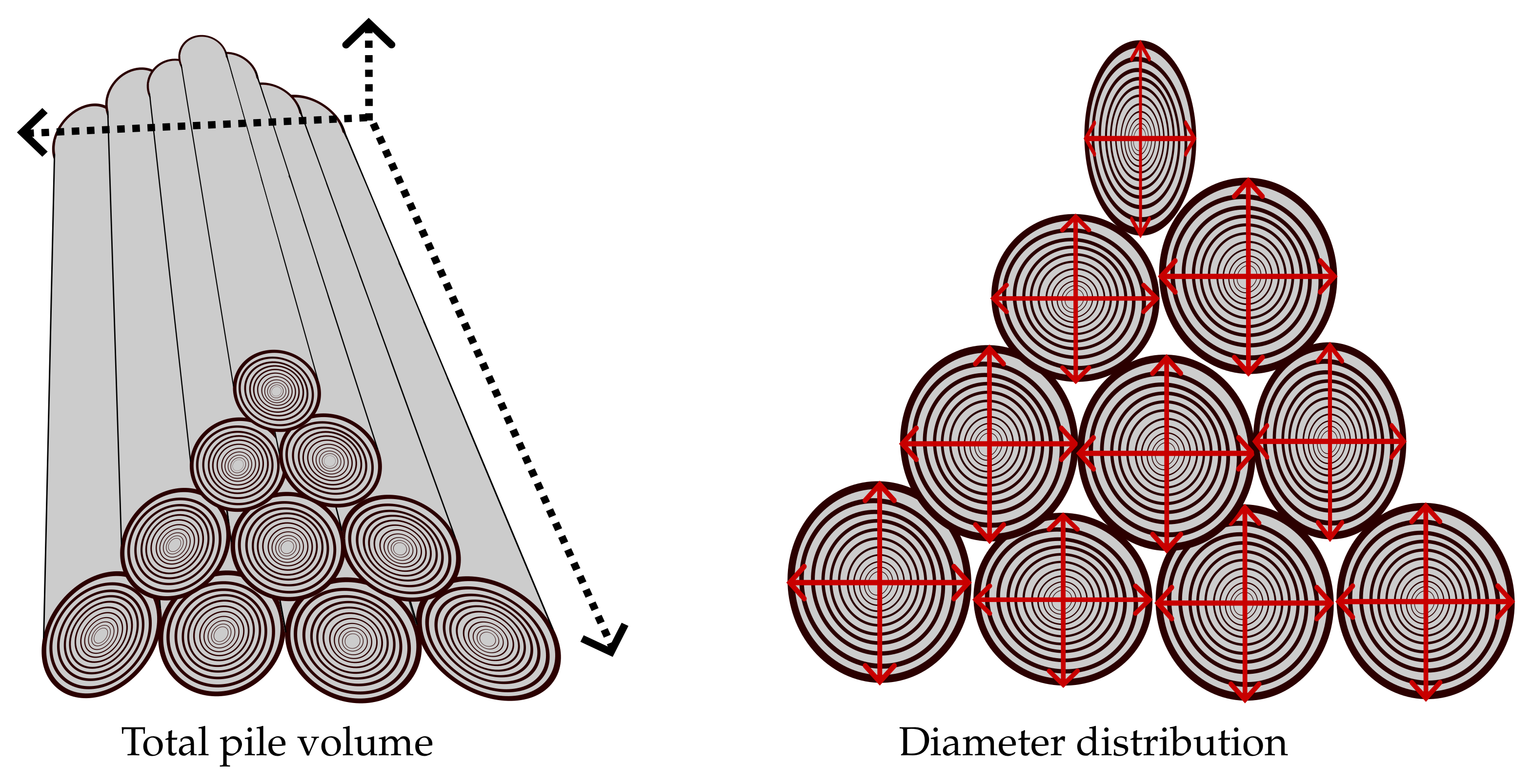 Forests 15 01243 g005