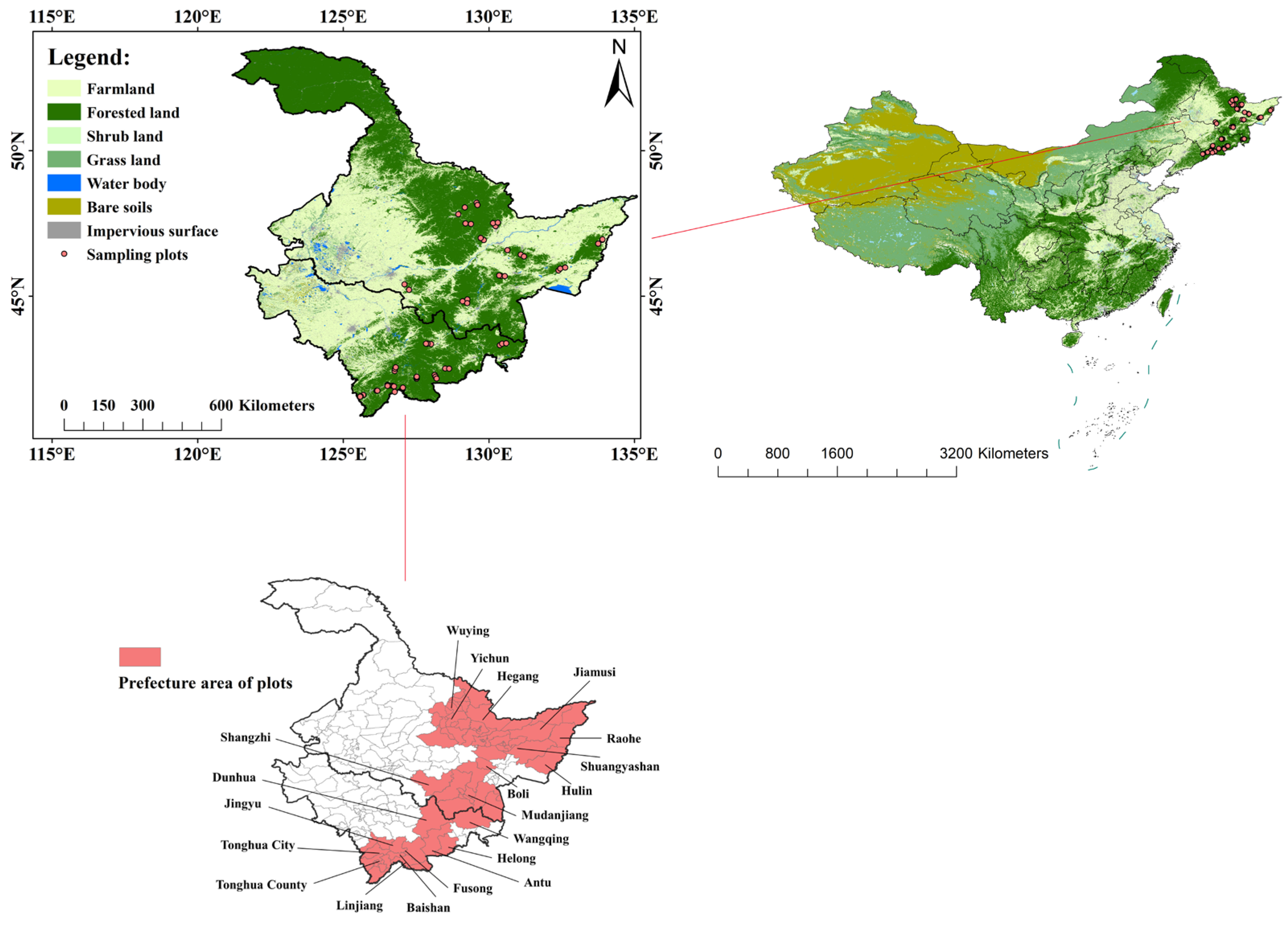 Forests 15 01252 g002