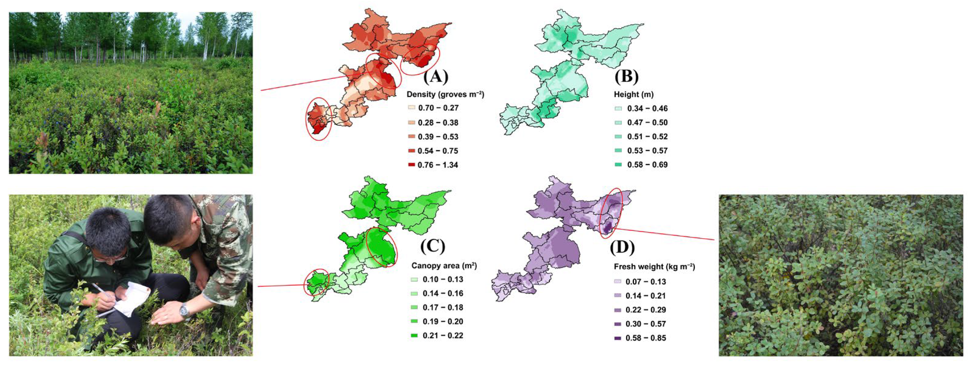 Forests 15 01252 g011