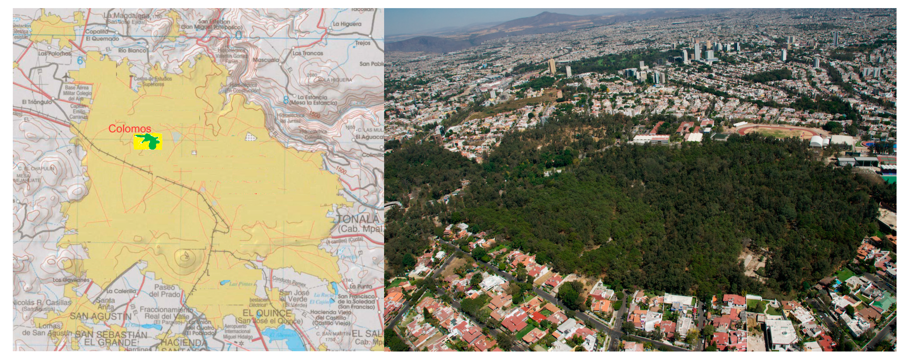 Forests 15 01254 g001