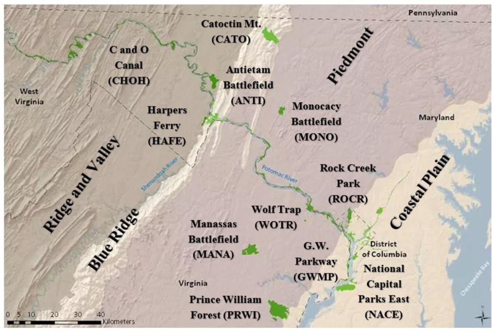 Forests 15 01260 g001