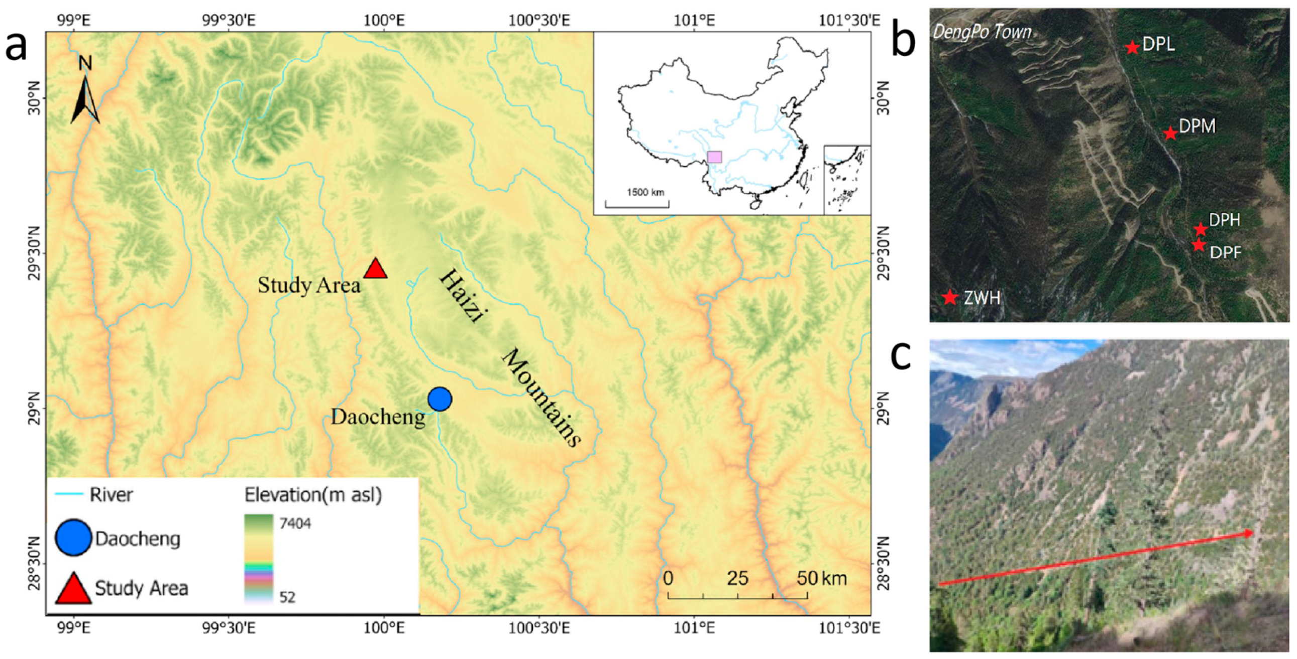 Forests 15 01265 g001