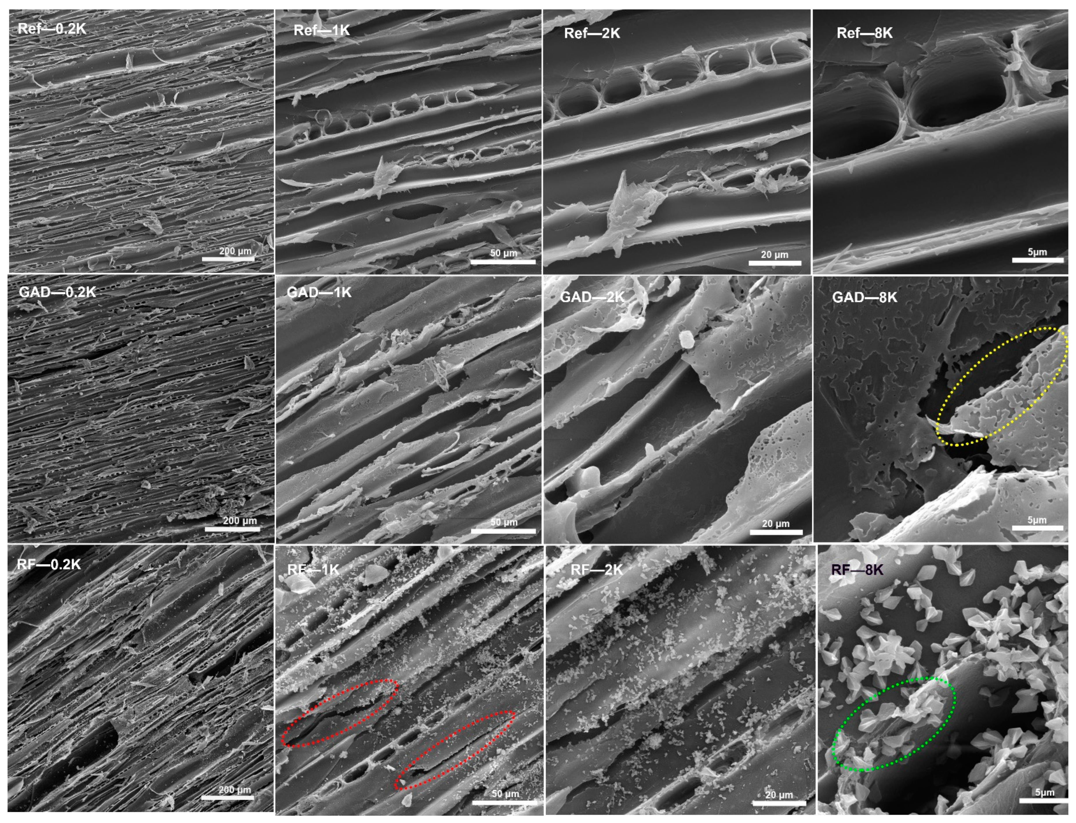 Forests 15 01271 g003