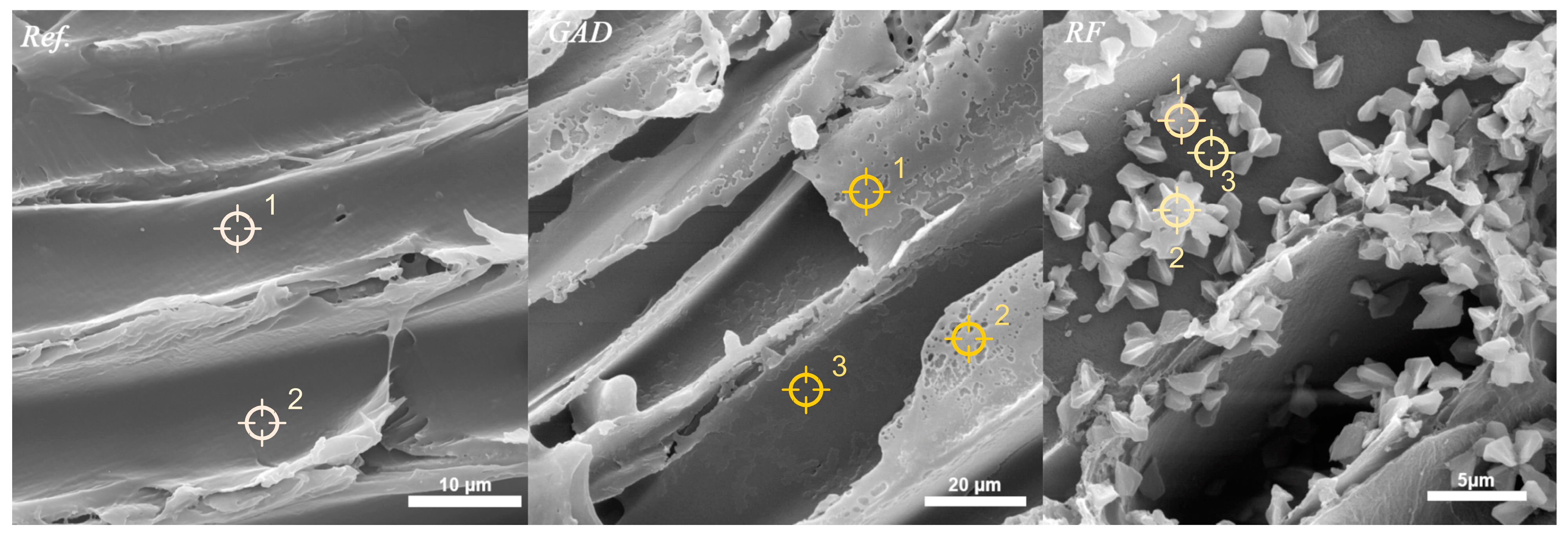 Forests 15 01271 g004