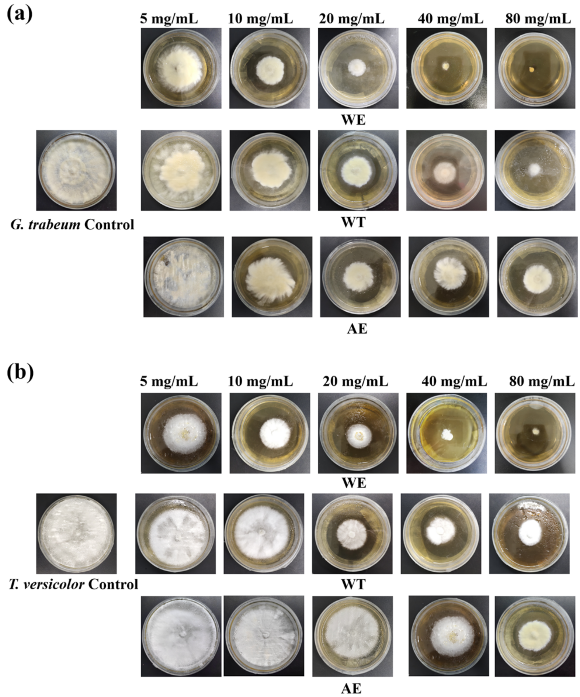 Forests 15 01274 g003