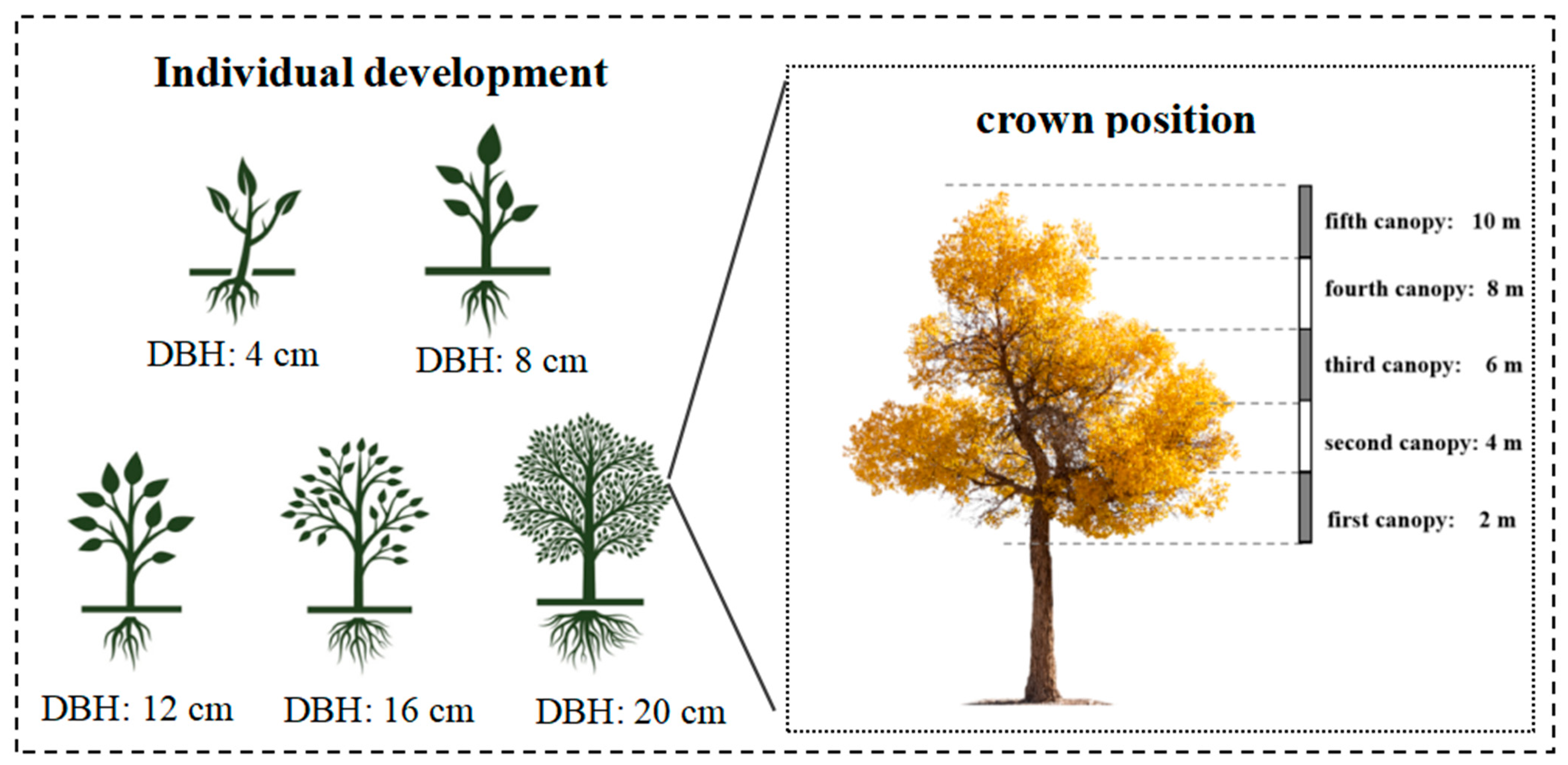 Forests 15 01283 g001