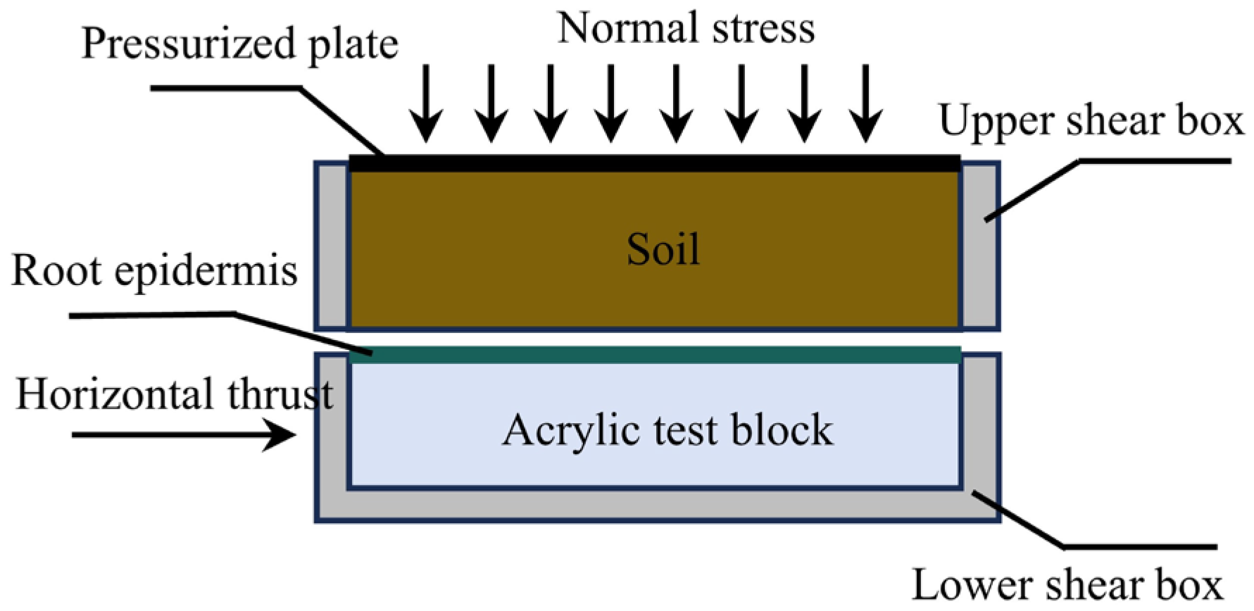 Forests 15 01285 g003