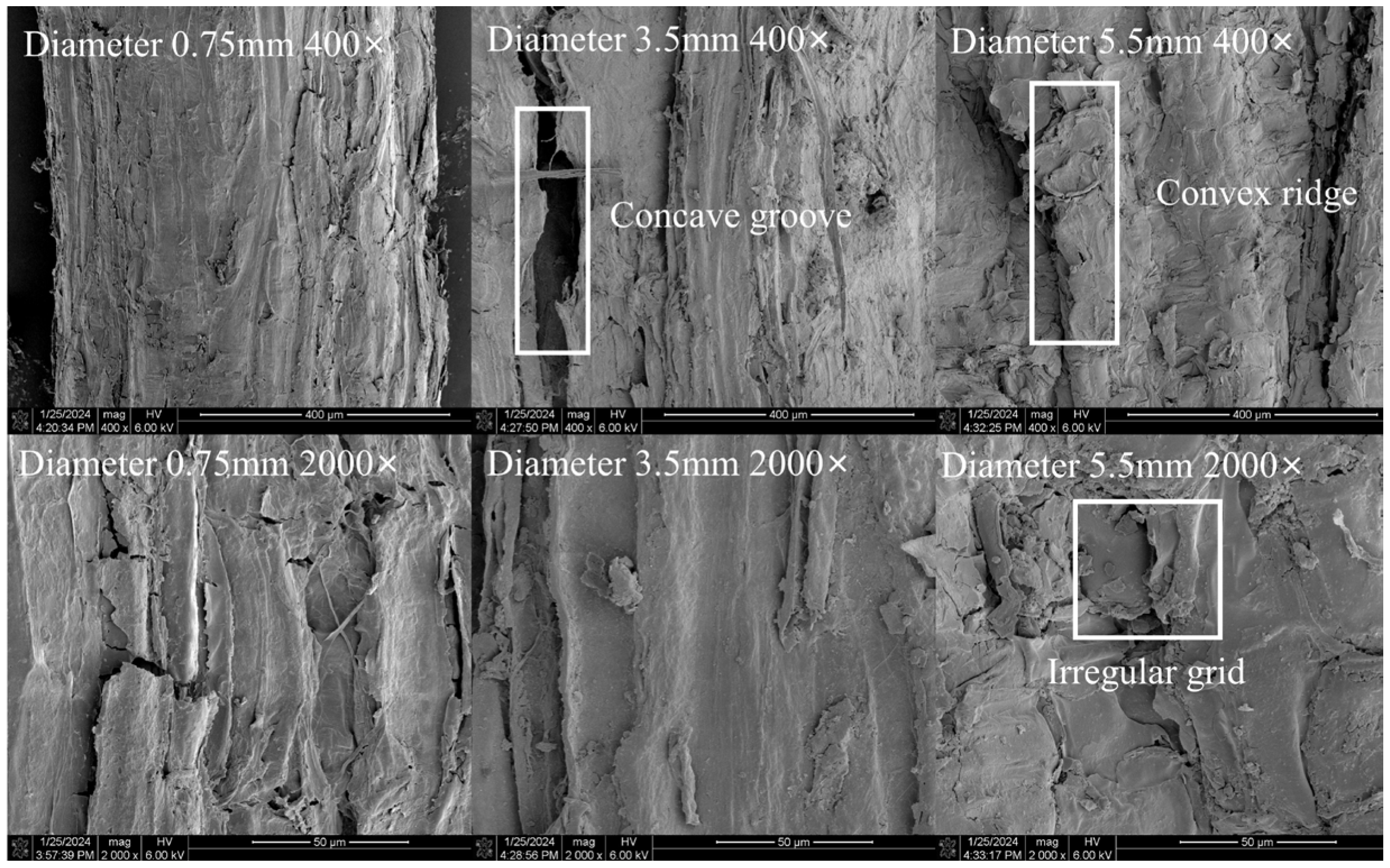 Forests 15 01285 g014