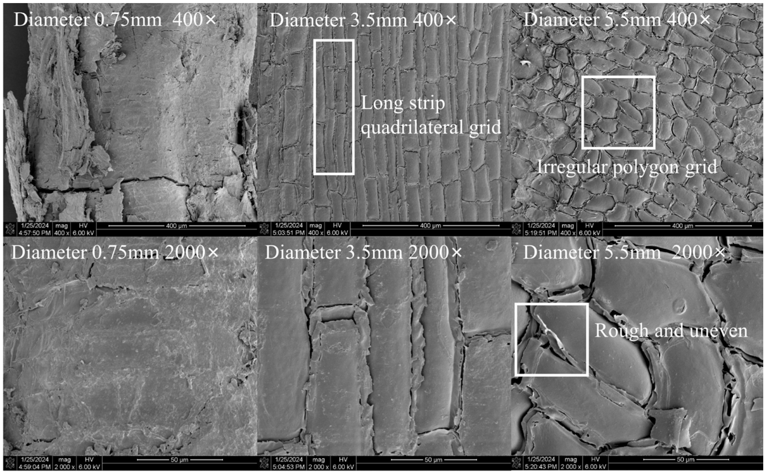 Forests 15 01285 g015