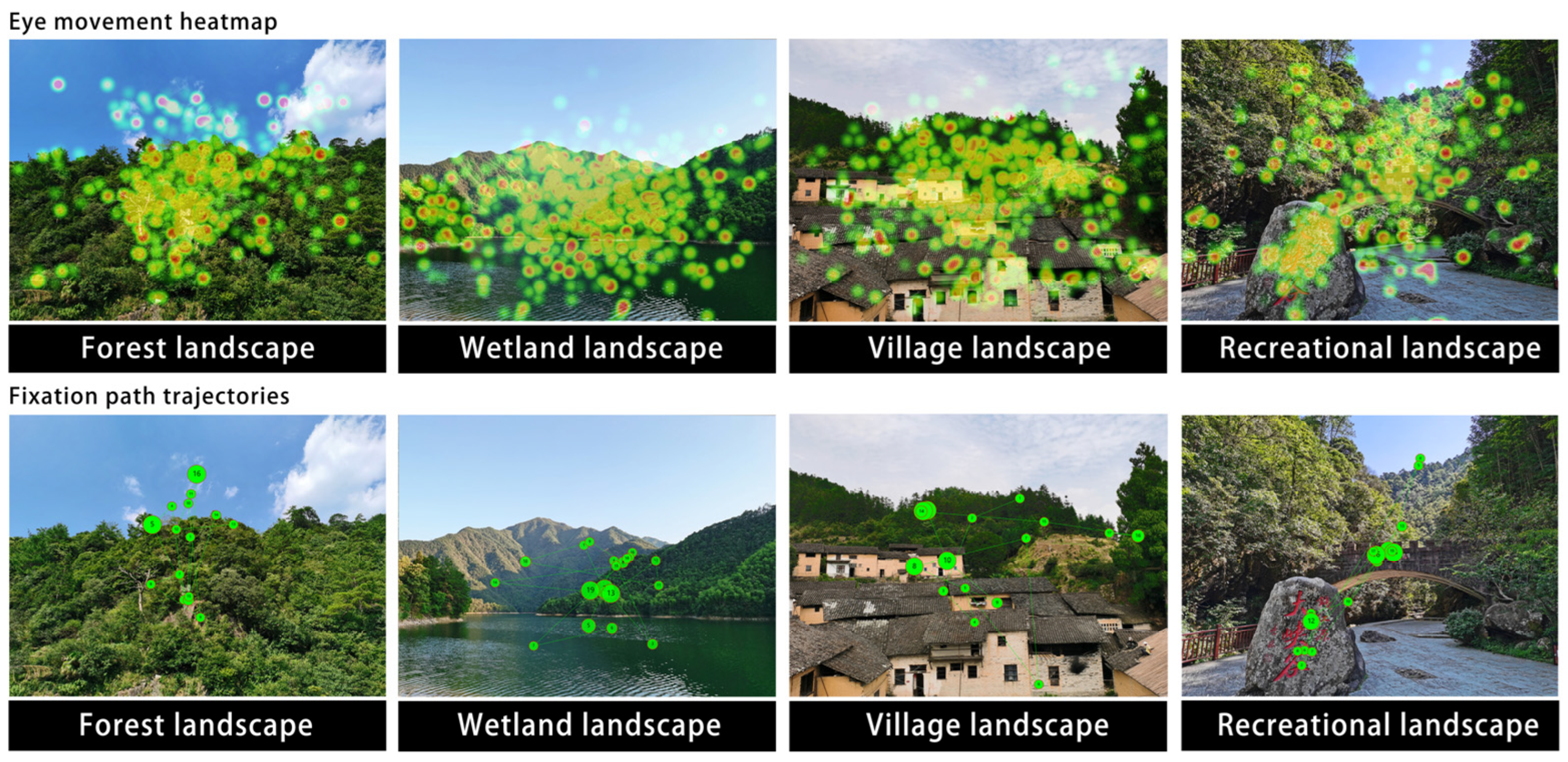 Forests 15 01289 g003