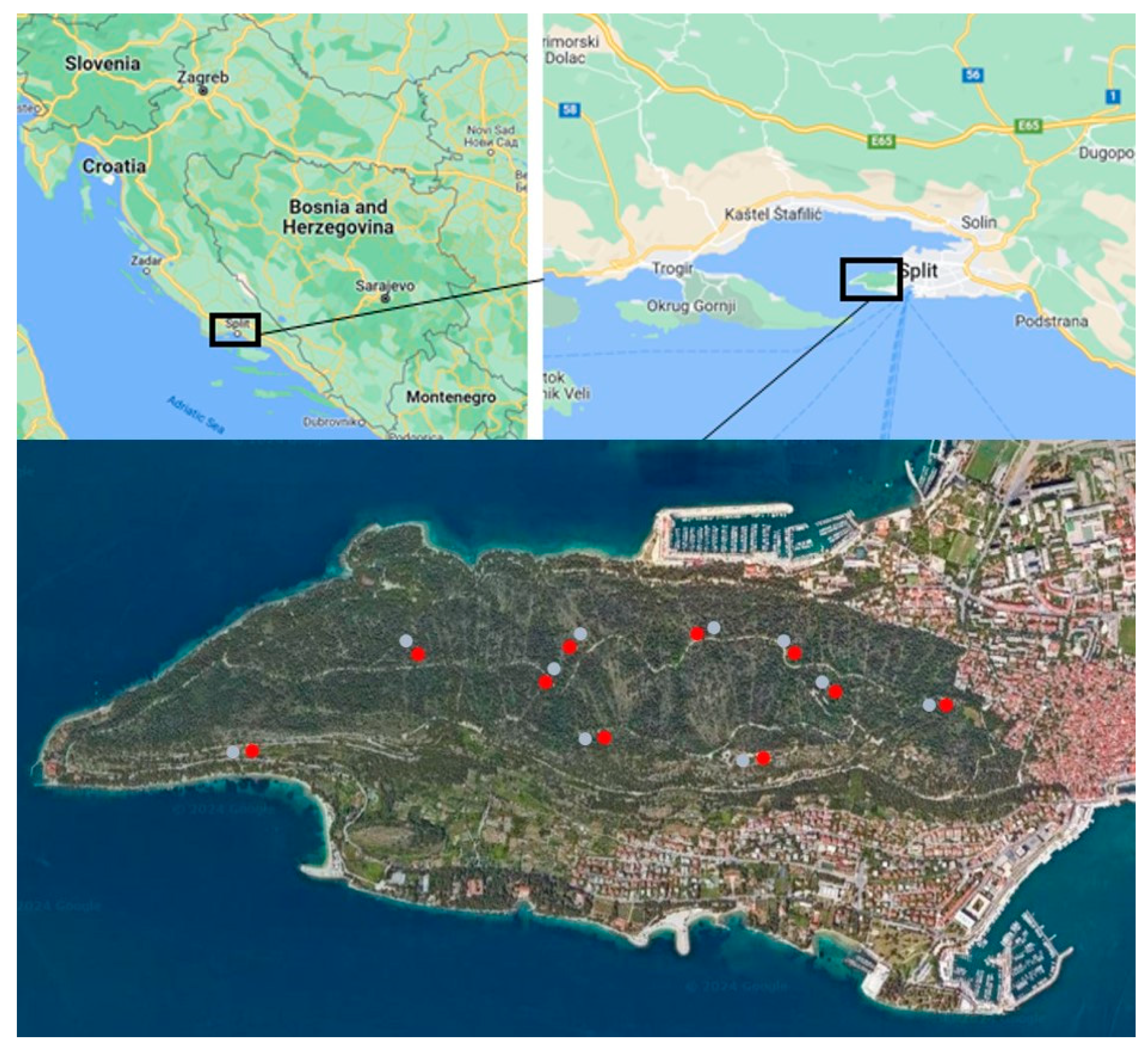 Forests 15 01298 g001