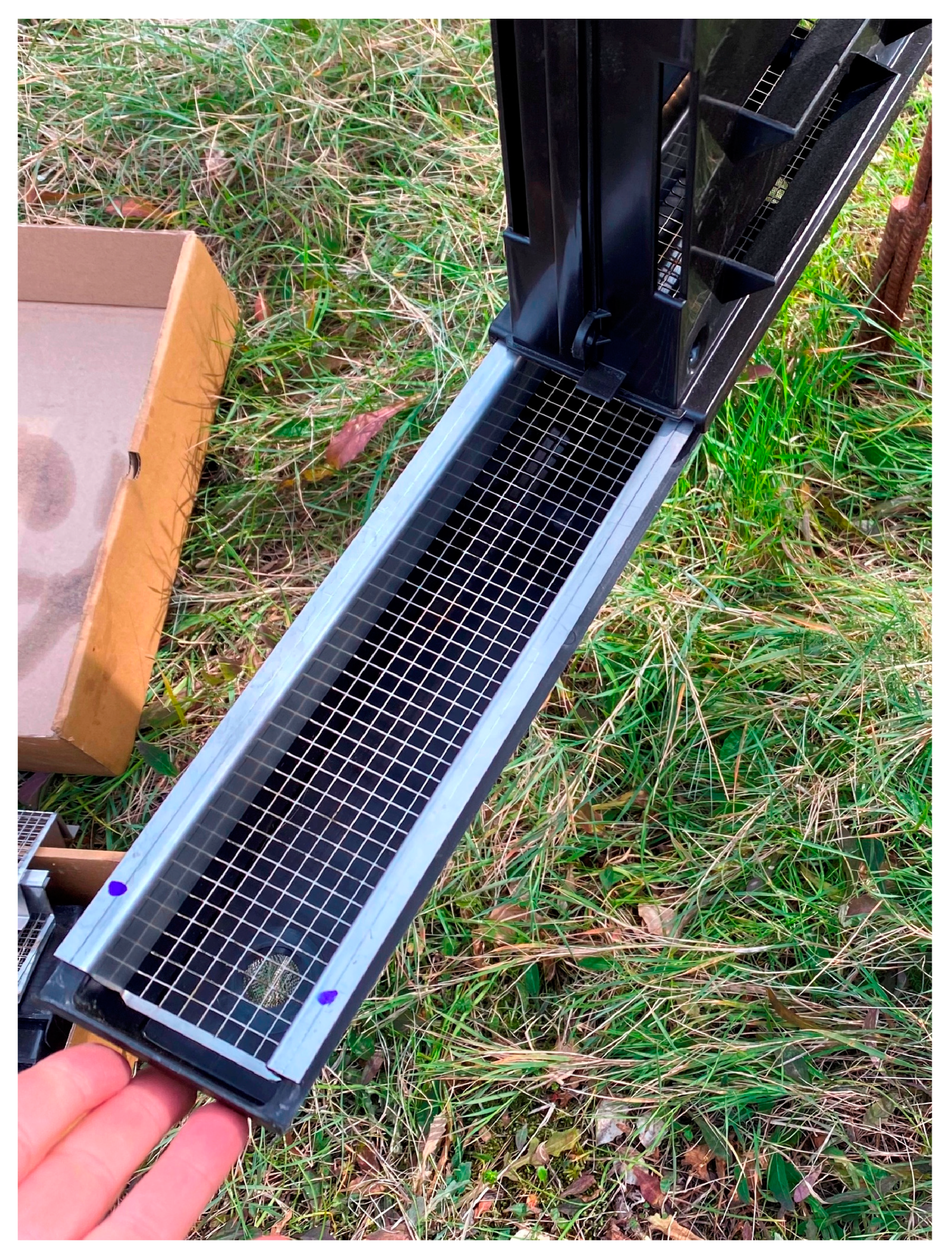 Forests 15 01298 g002