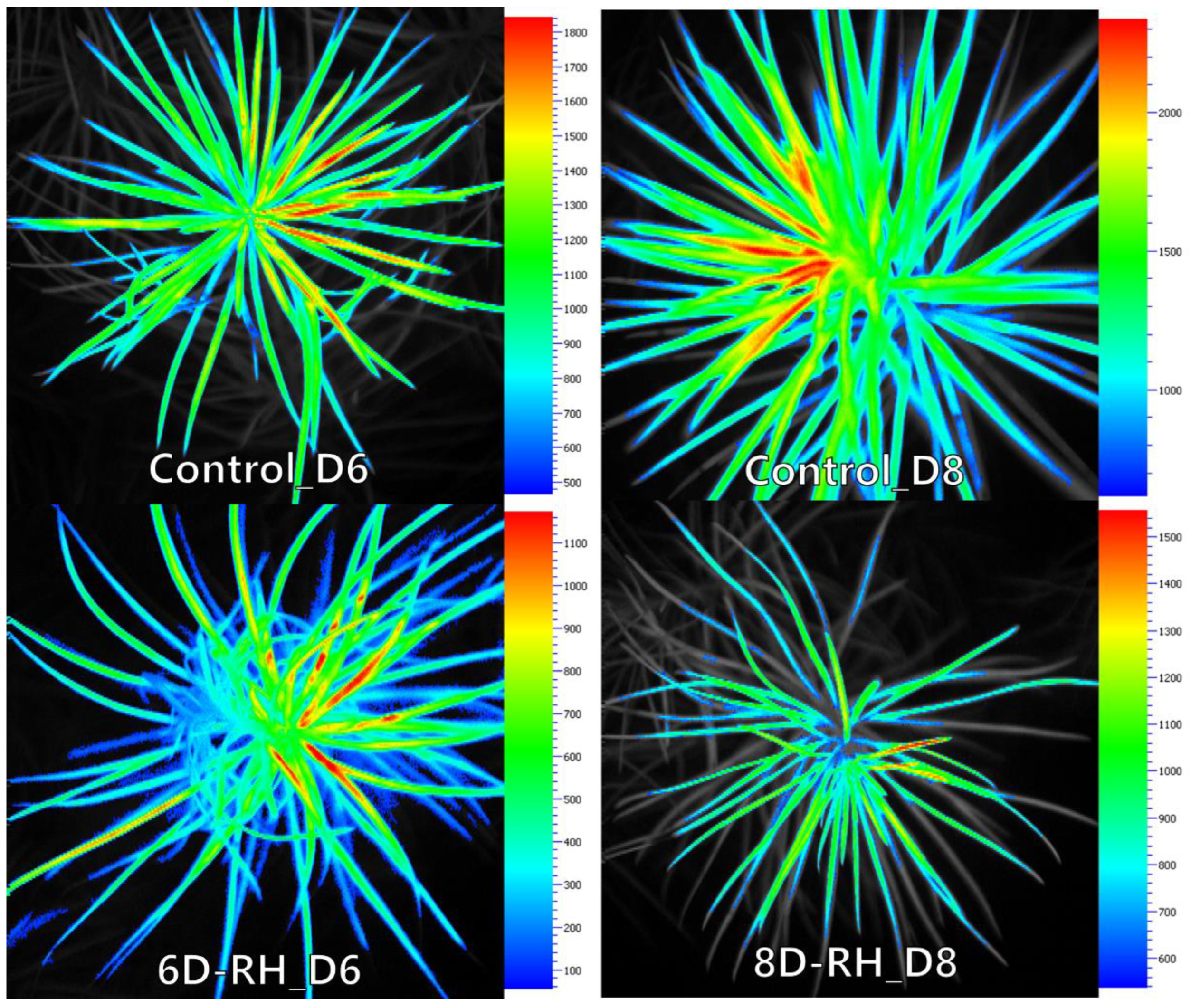 Forests 15 01303 g005 Forests 15 01303 g005