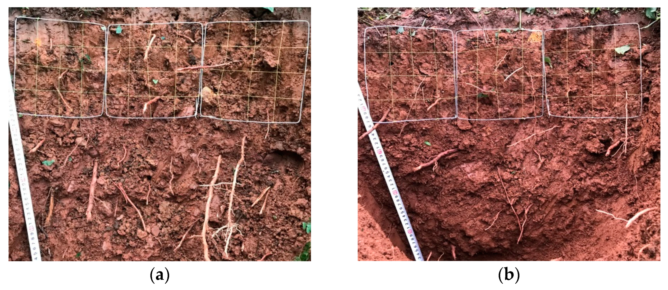 Forests 15 01306 g002