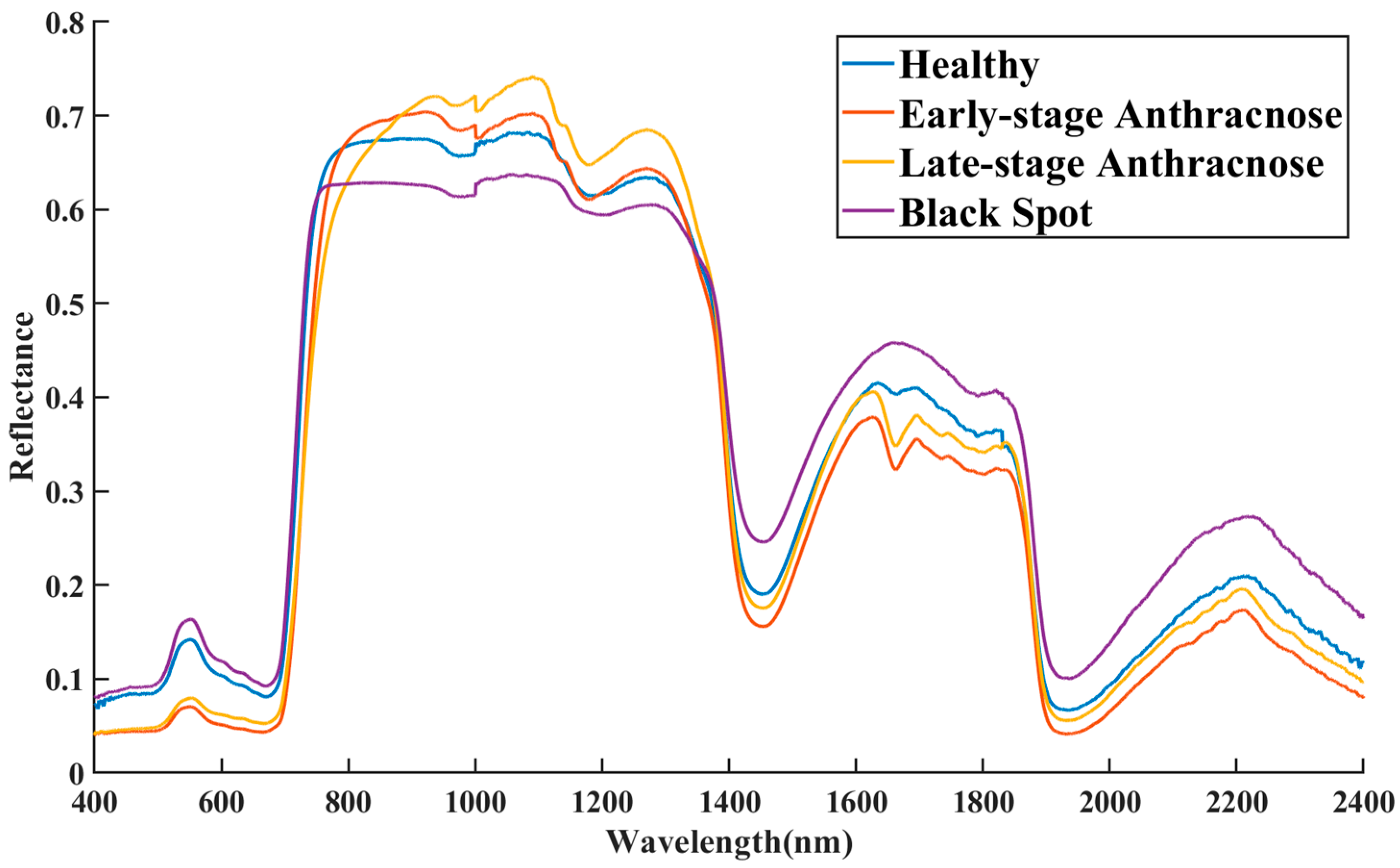 Forests 15 01309 g005