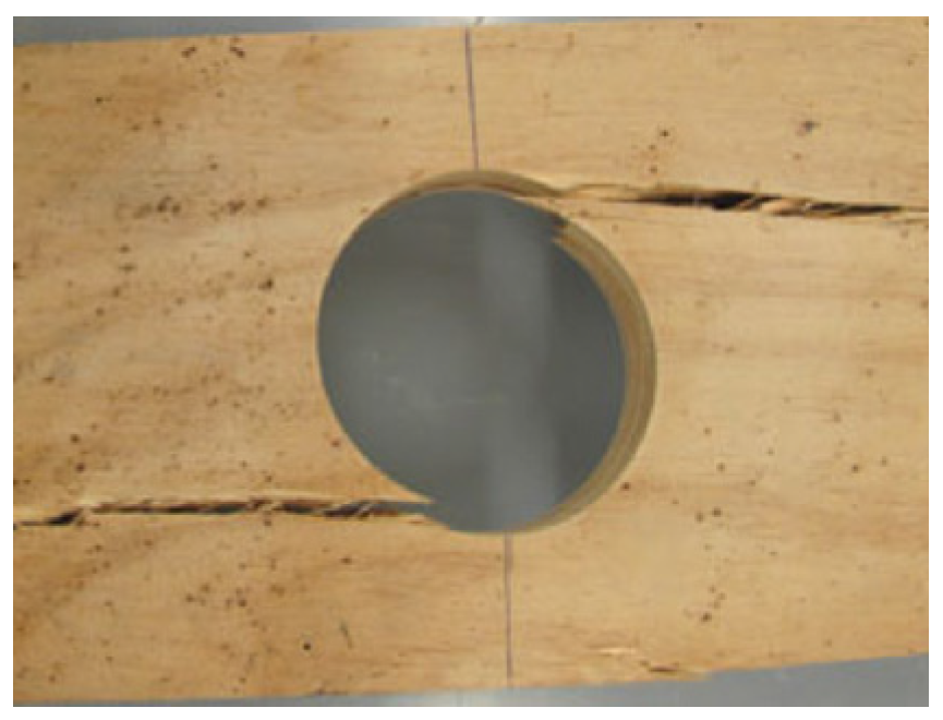 Forests 15 01318 g002