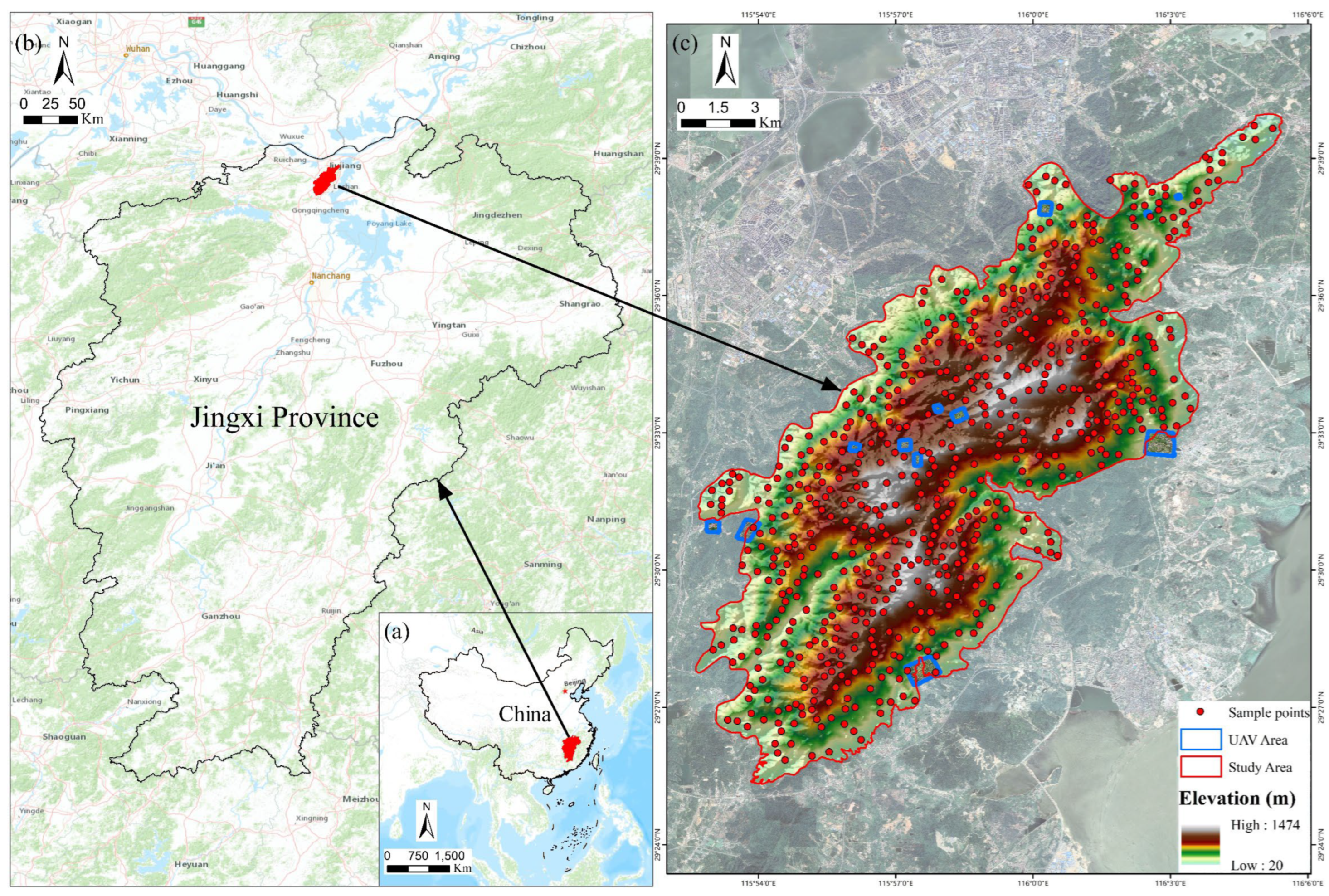 Forests 15 01327 g001