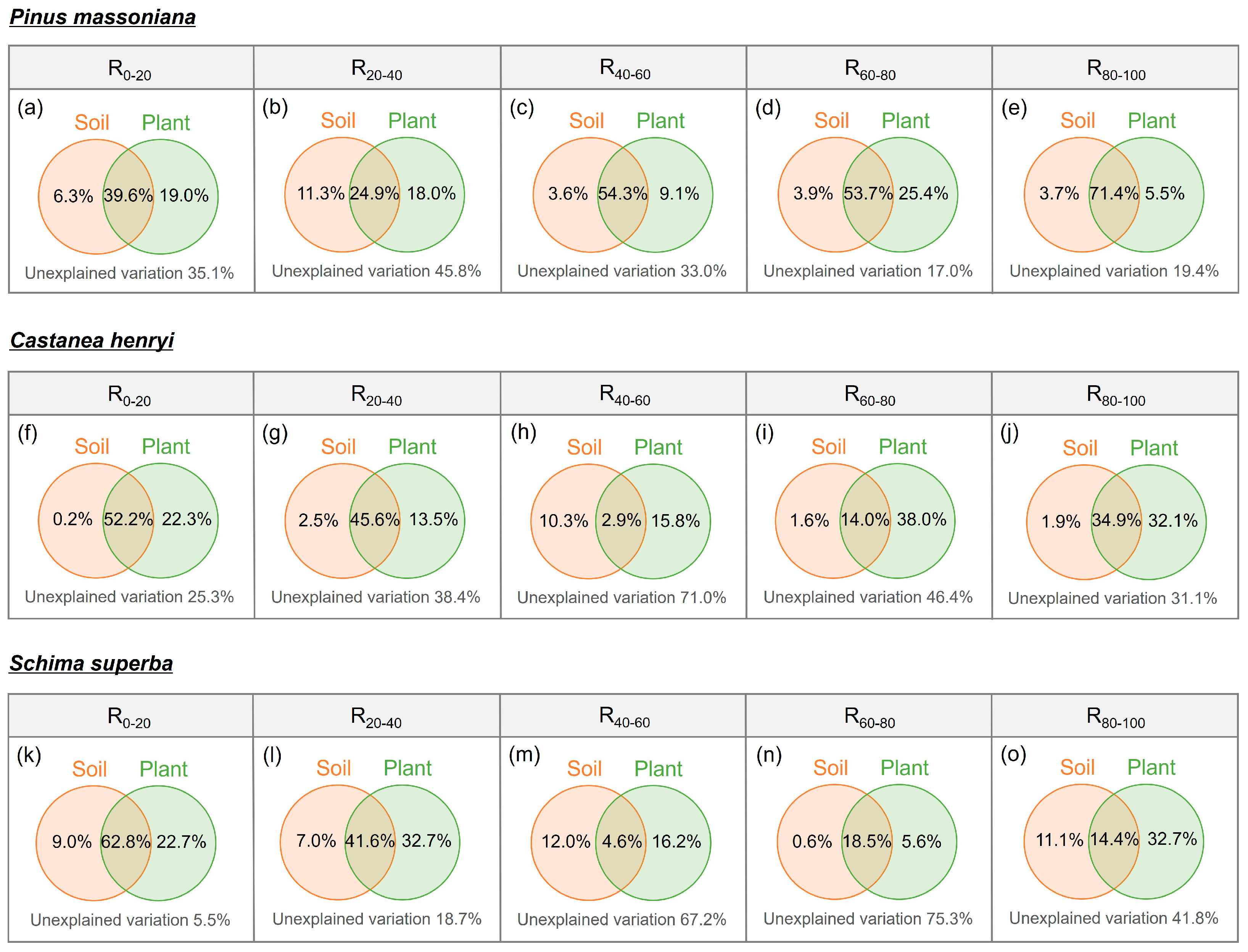 Forests 15 01329 g005