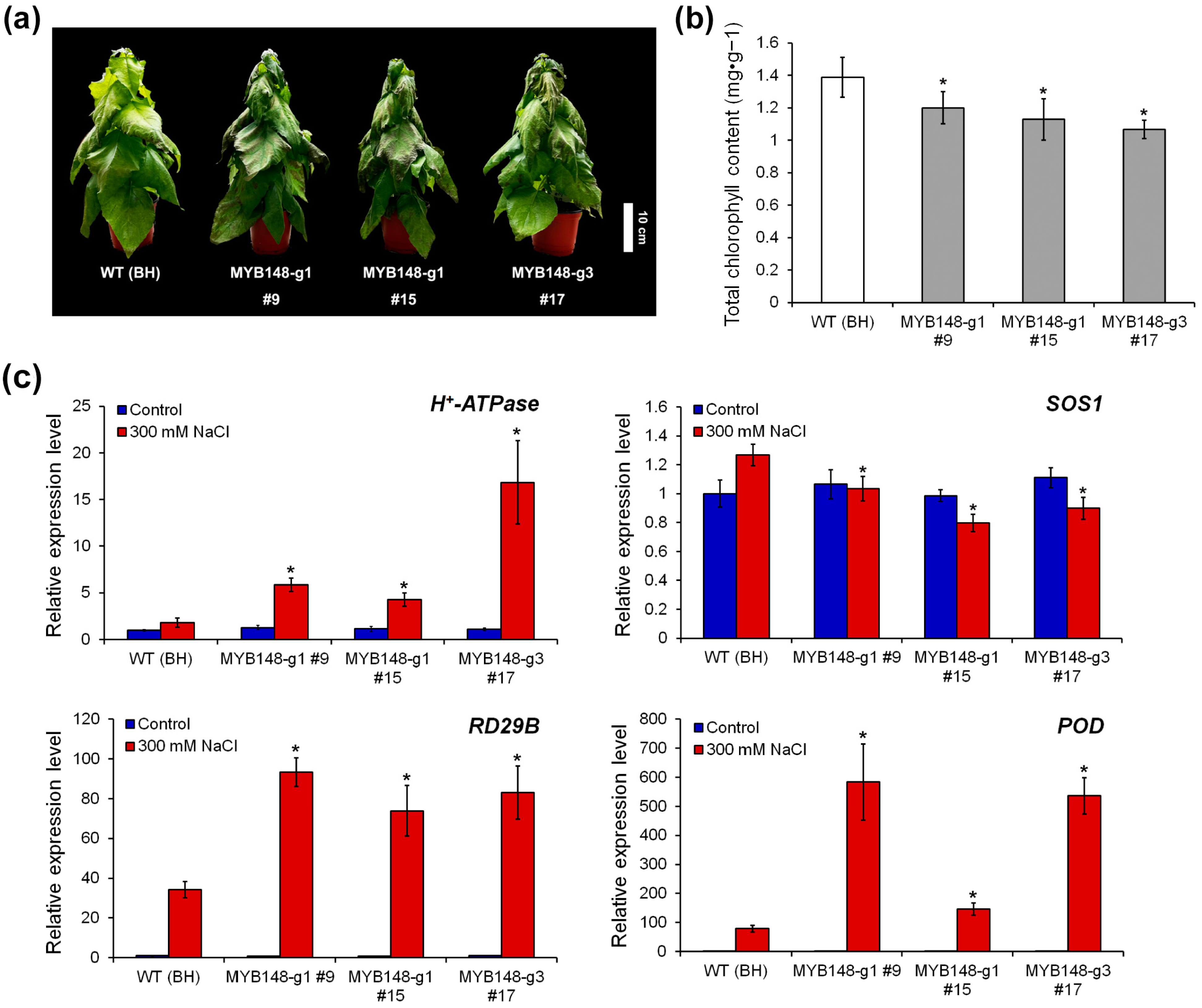 Forests 15 01344 g003