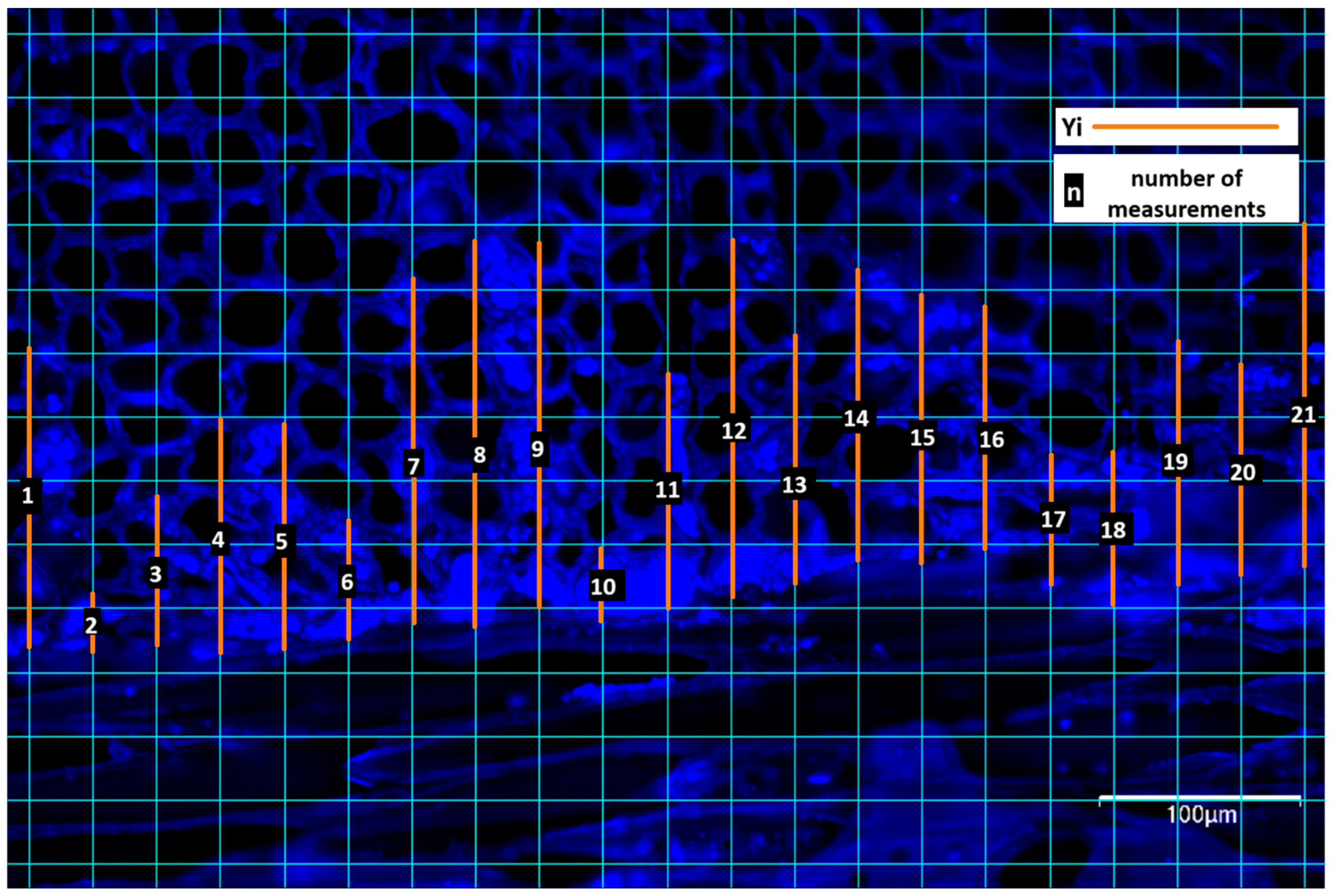 Forests 15 01345 g003