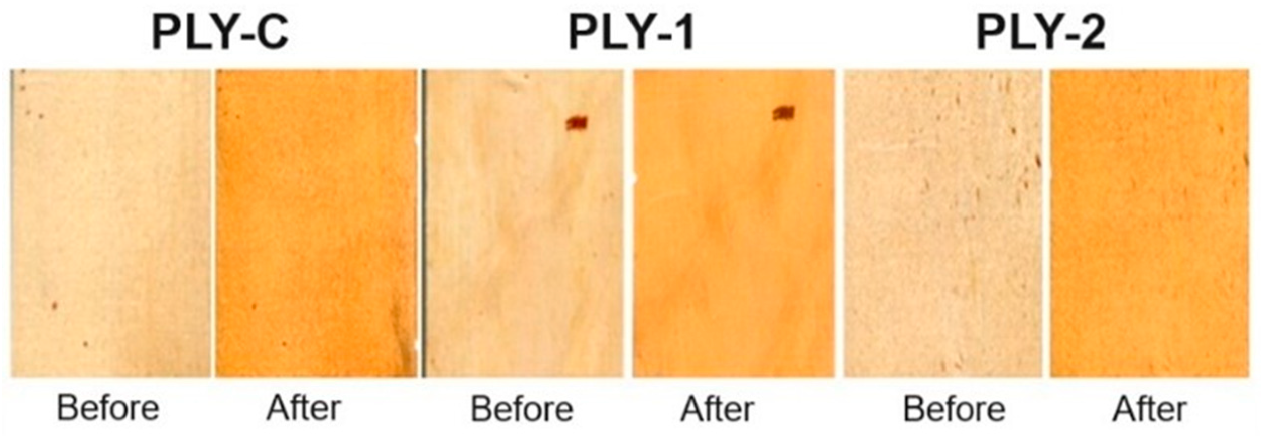 Forests 15 01345 g010