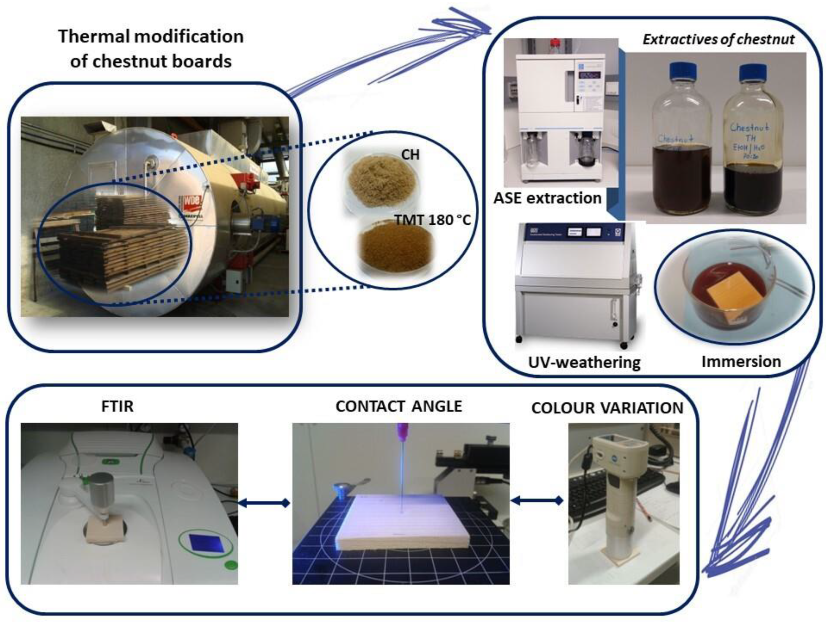 Forests 15 01358 g001