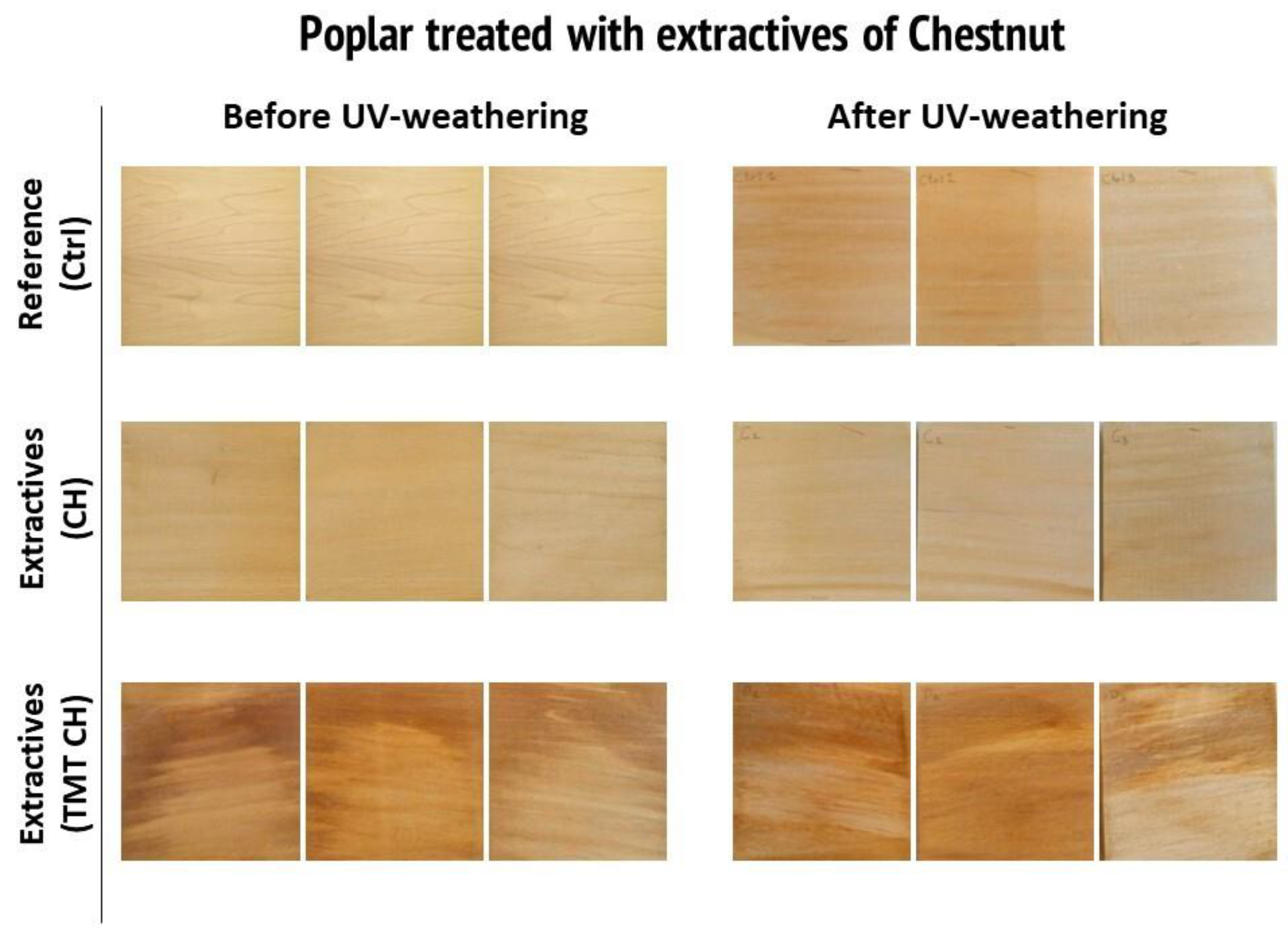 Forests 15 01358 g003