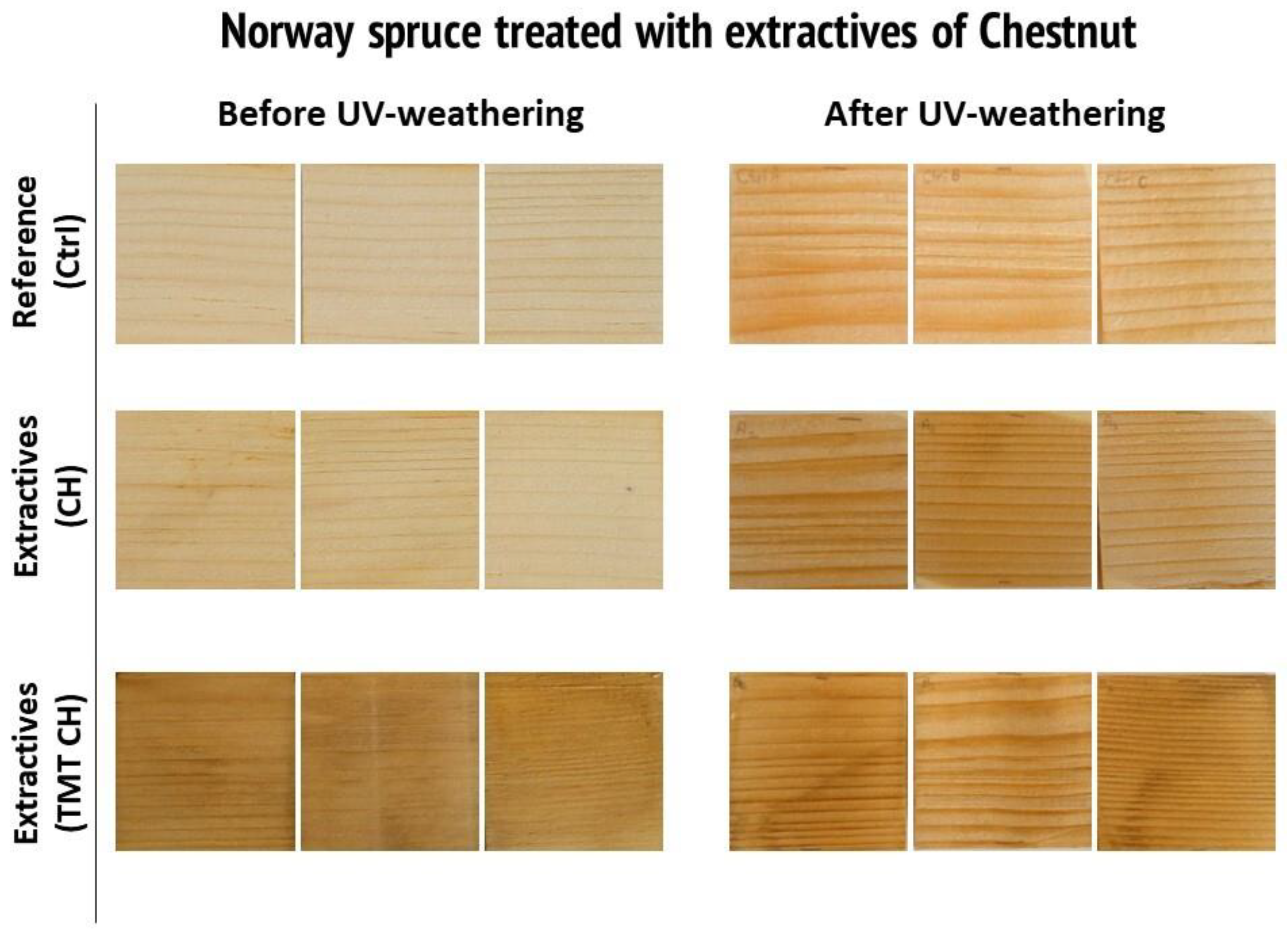 Forests 15 01358 g004