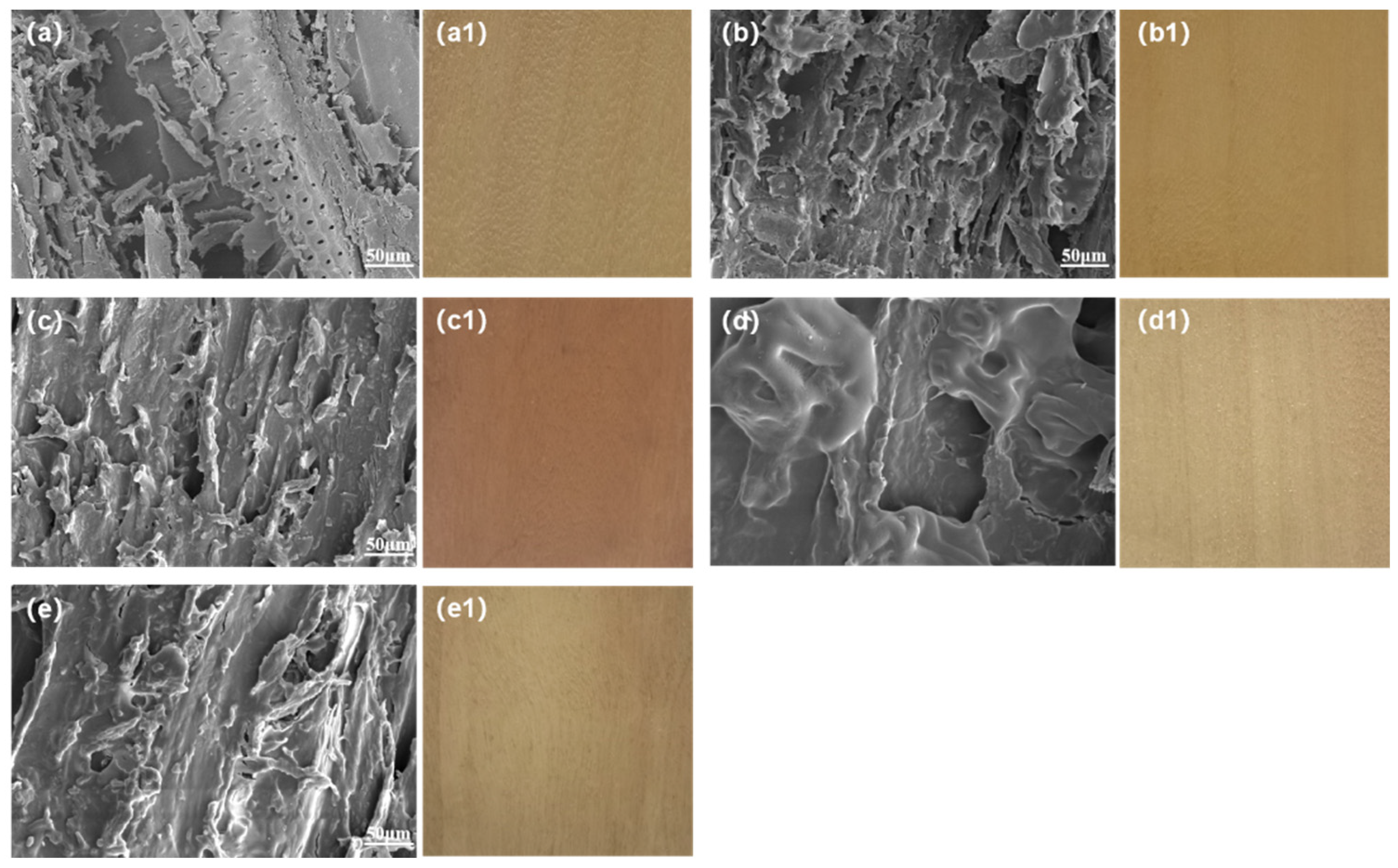 Forests 15 01362 g003