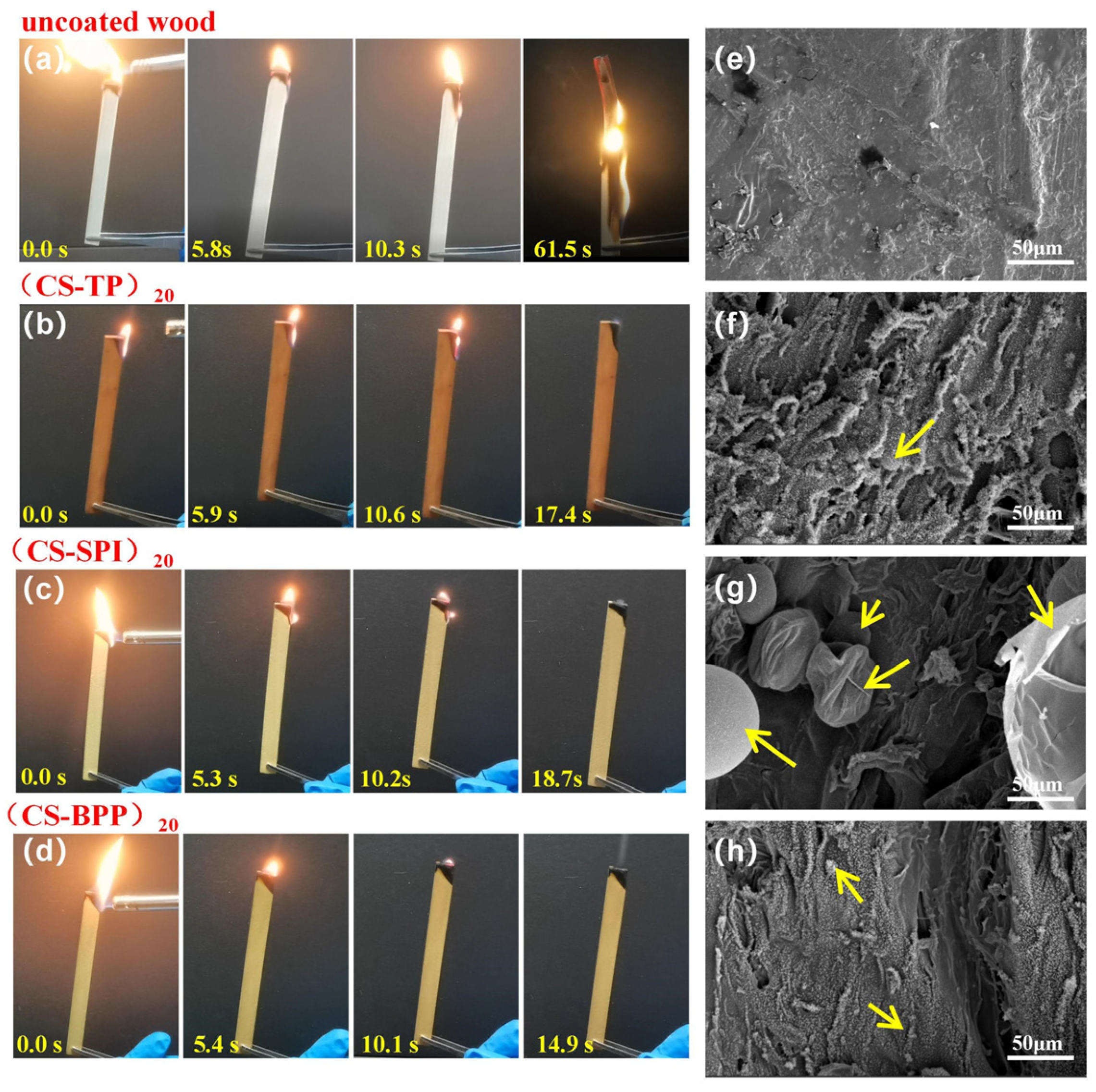 Forests 15 01362 g006