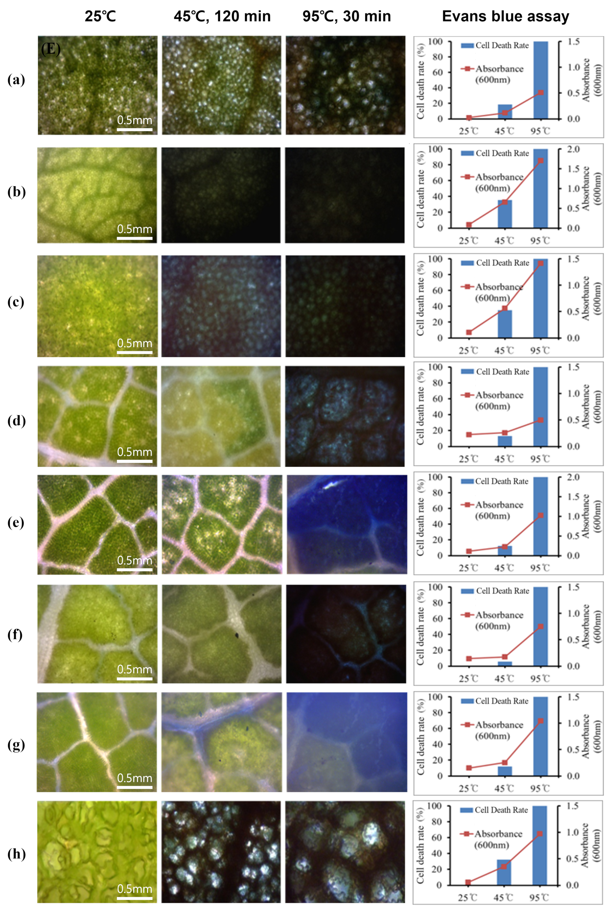 Forests 15 01366 g005
