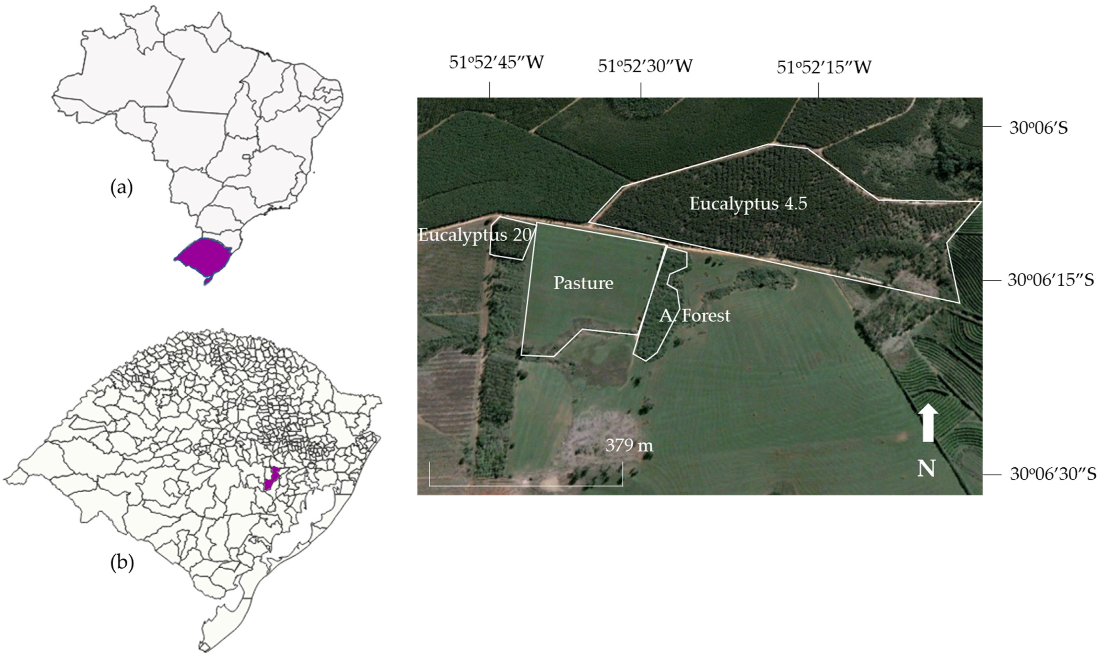 Forests 15 01369 g001