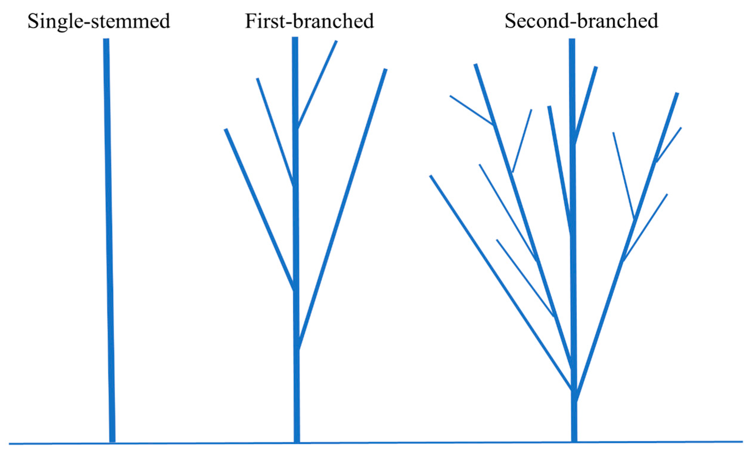 Forests 15 01371 g002