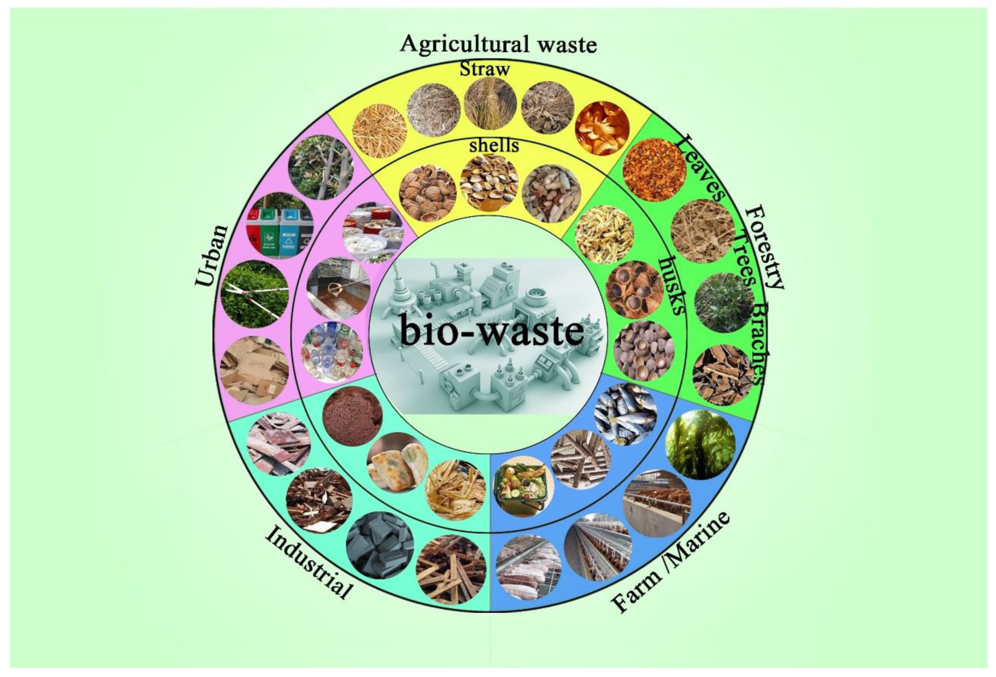 Forests 15 01372 g001