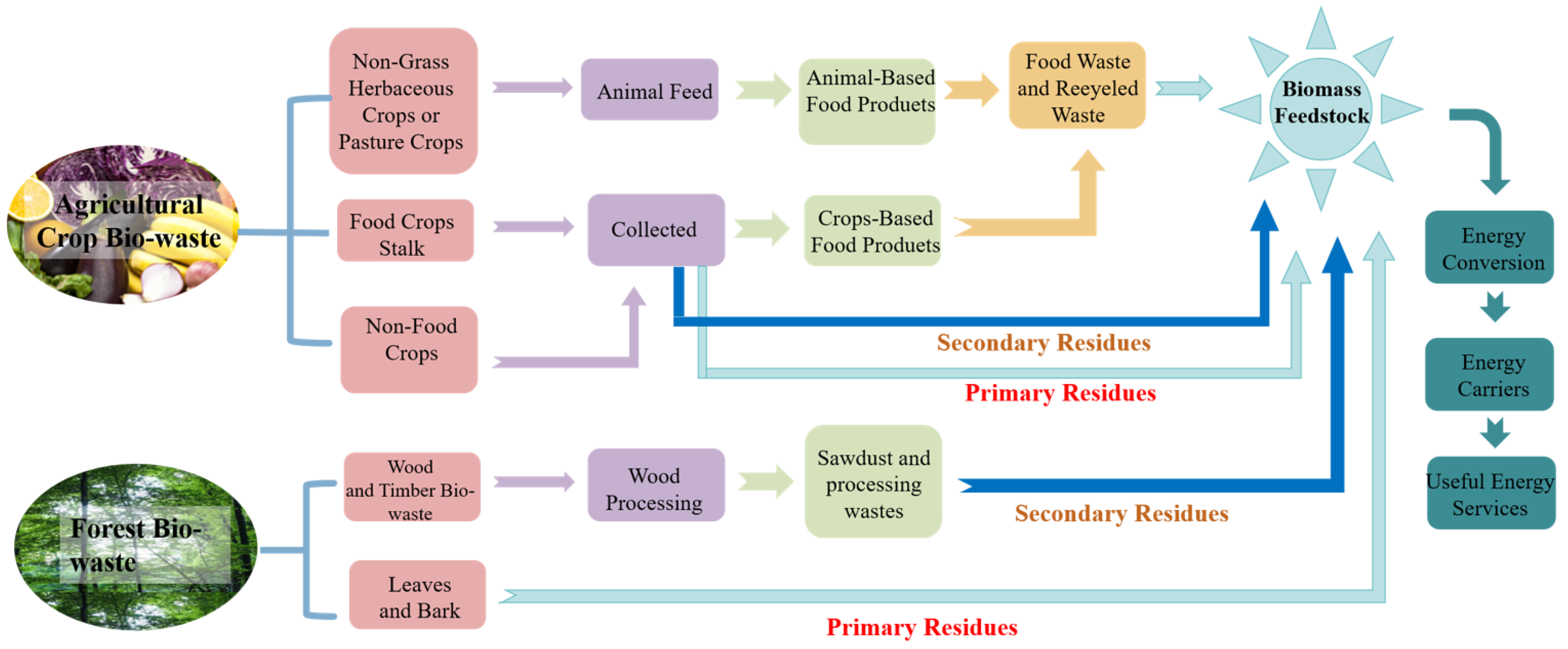 Forests 15 01372 g004