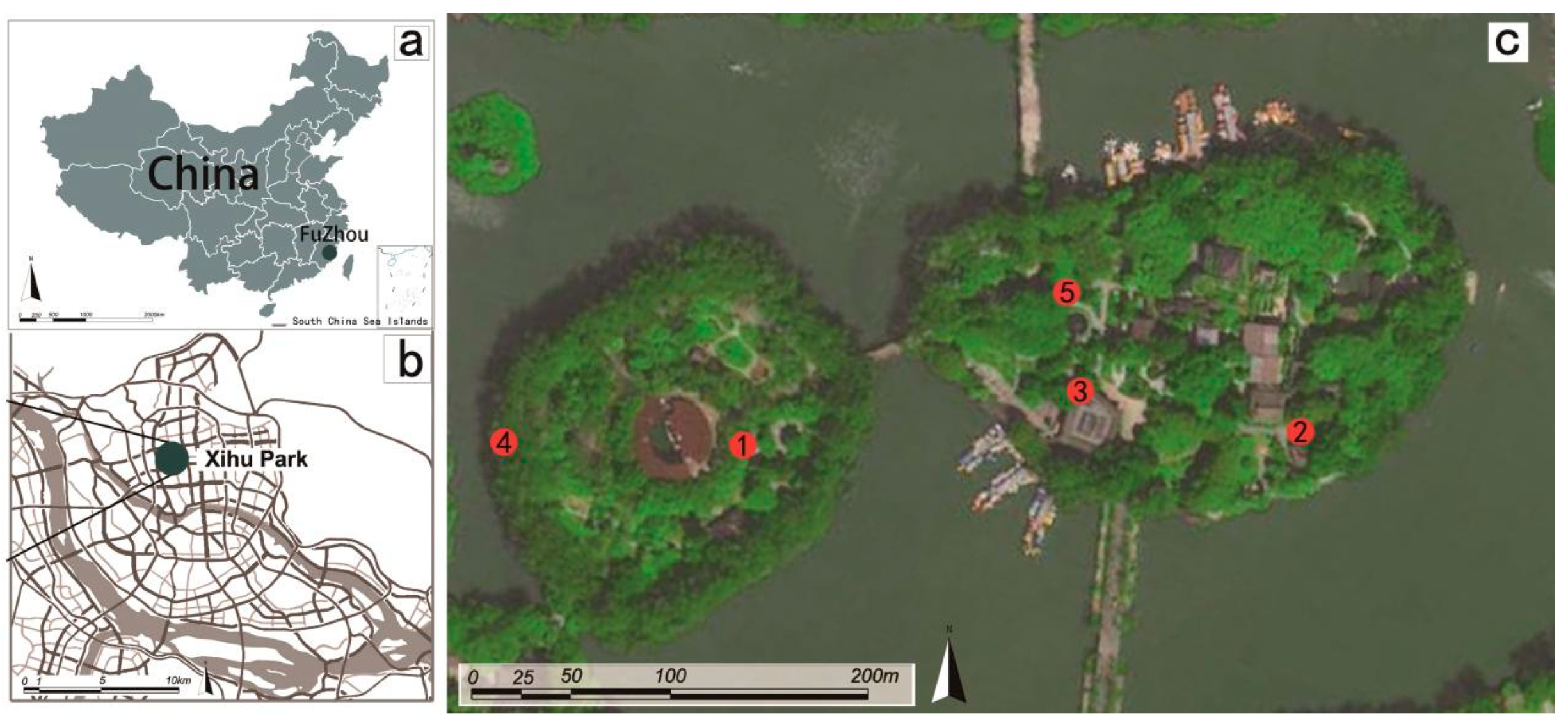 Forests 15 01373 g001