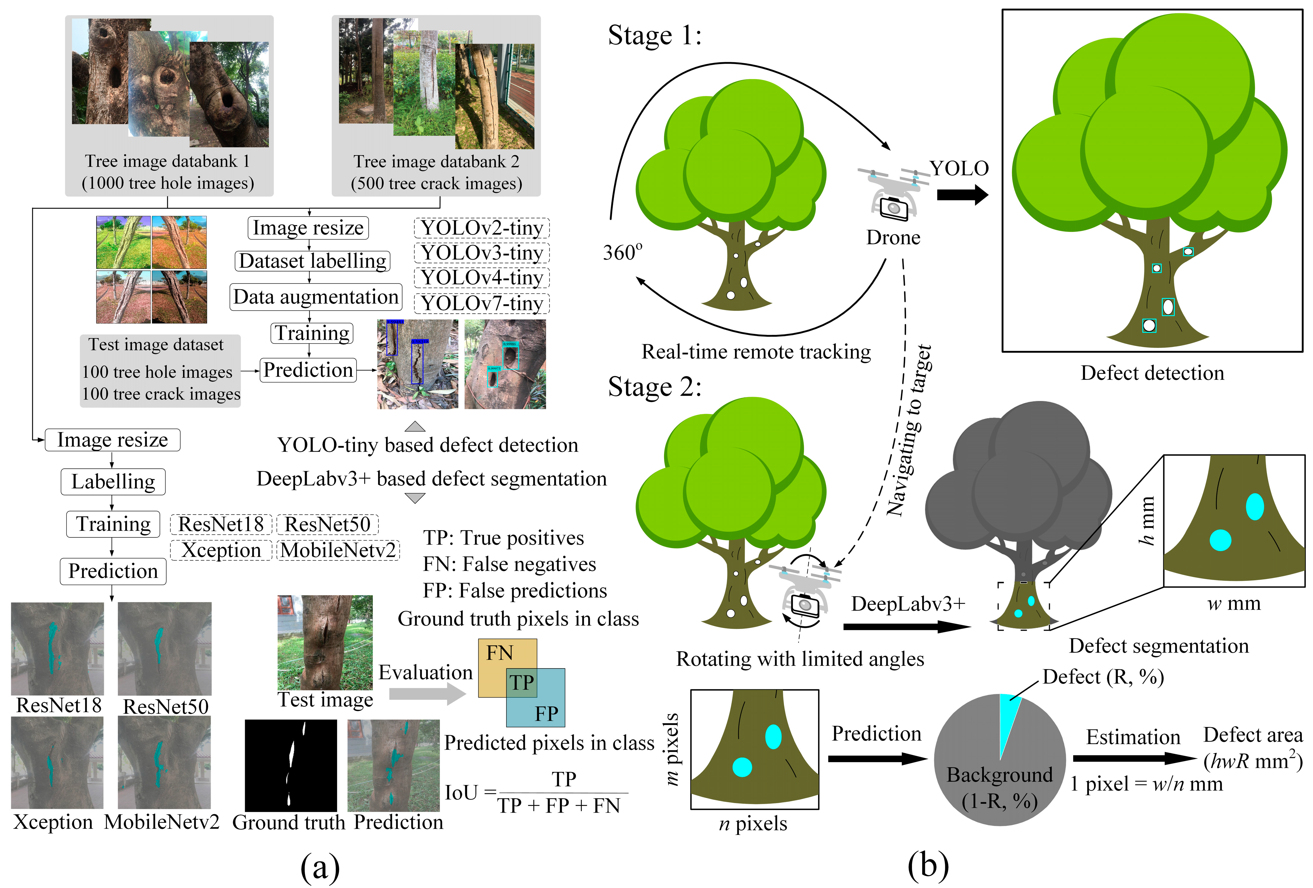 Forests 15 01374 g003