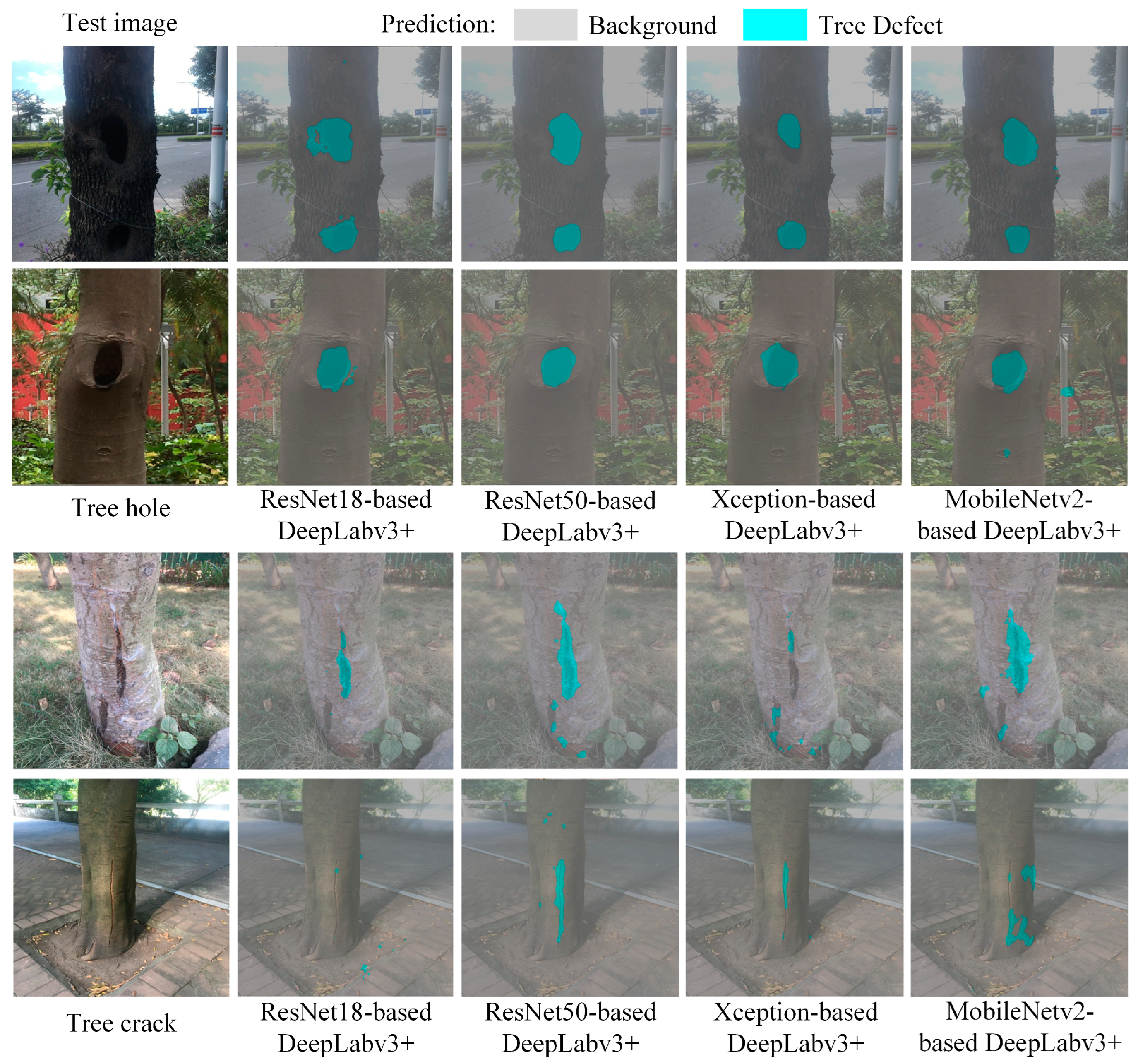 Forests 15 01374 g007