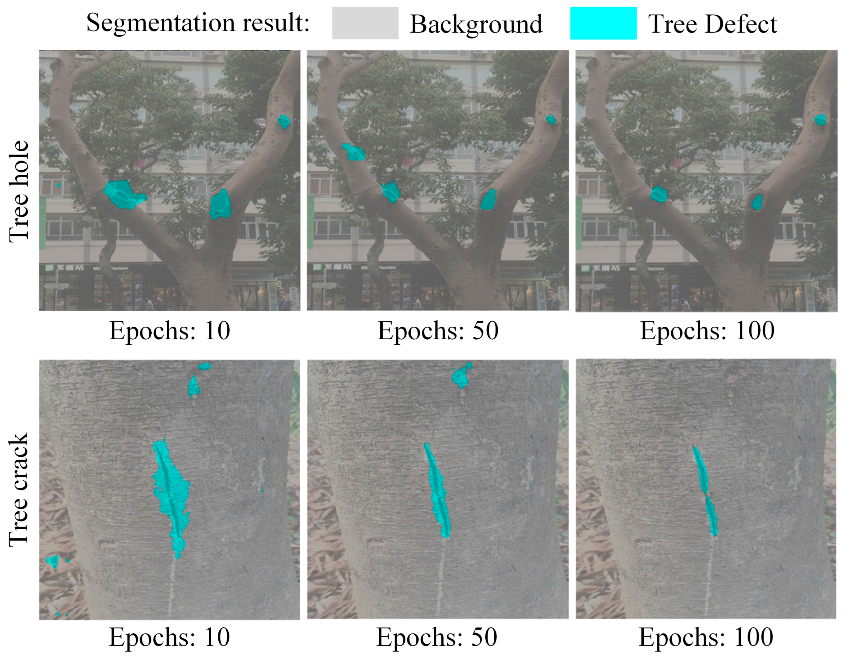 Forests 15 01374 g008