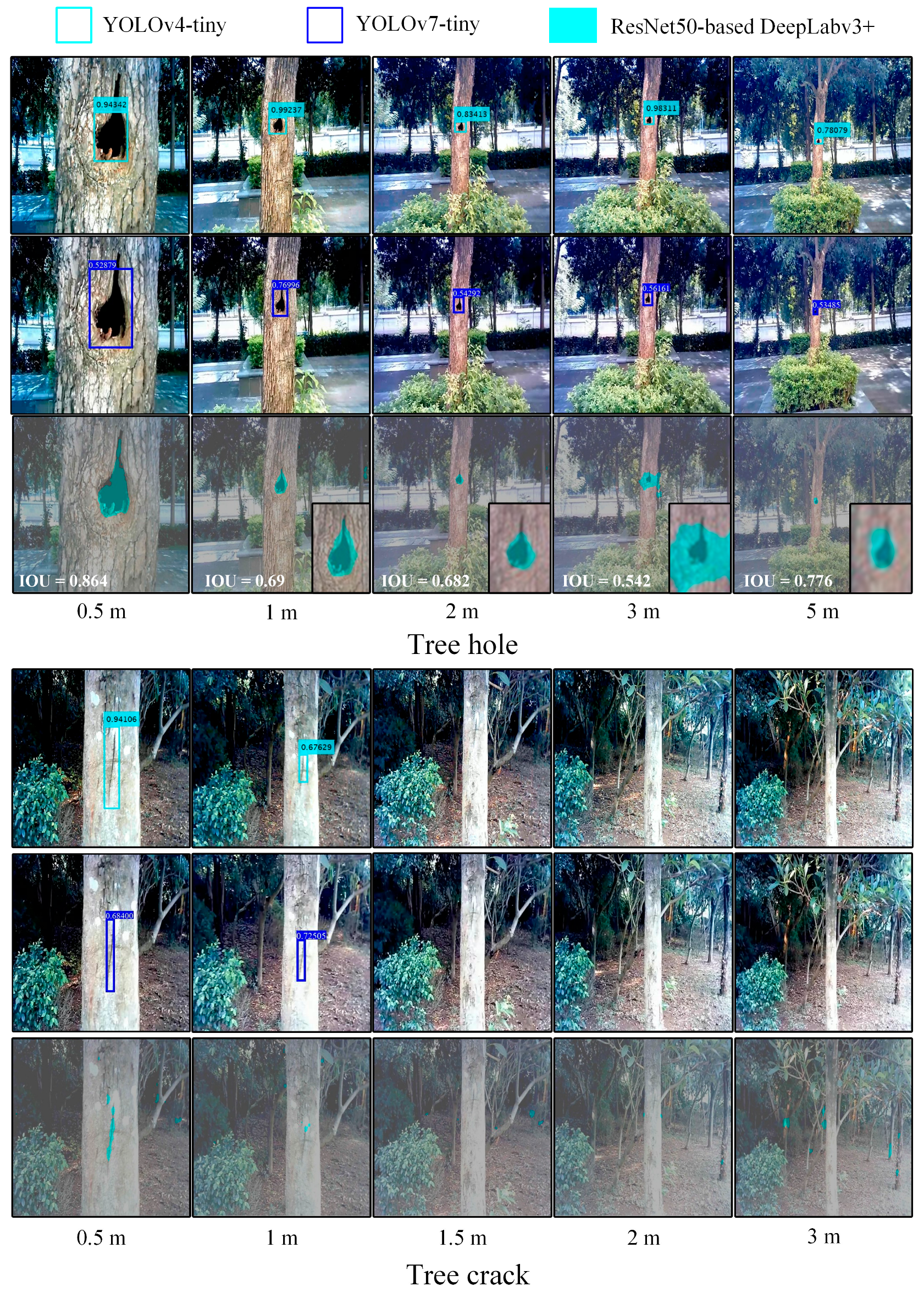 Forests 15 01374 g011