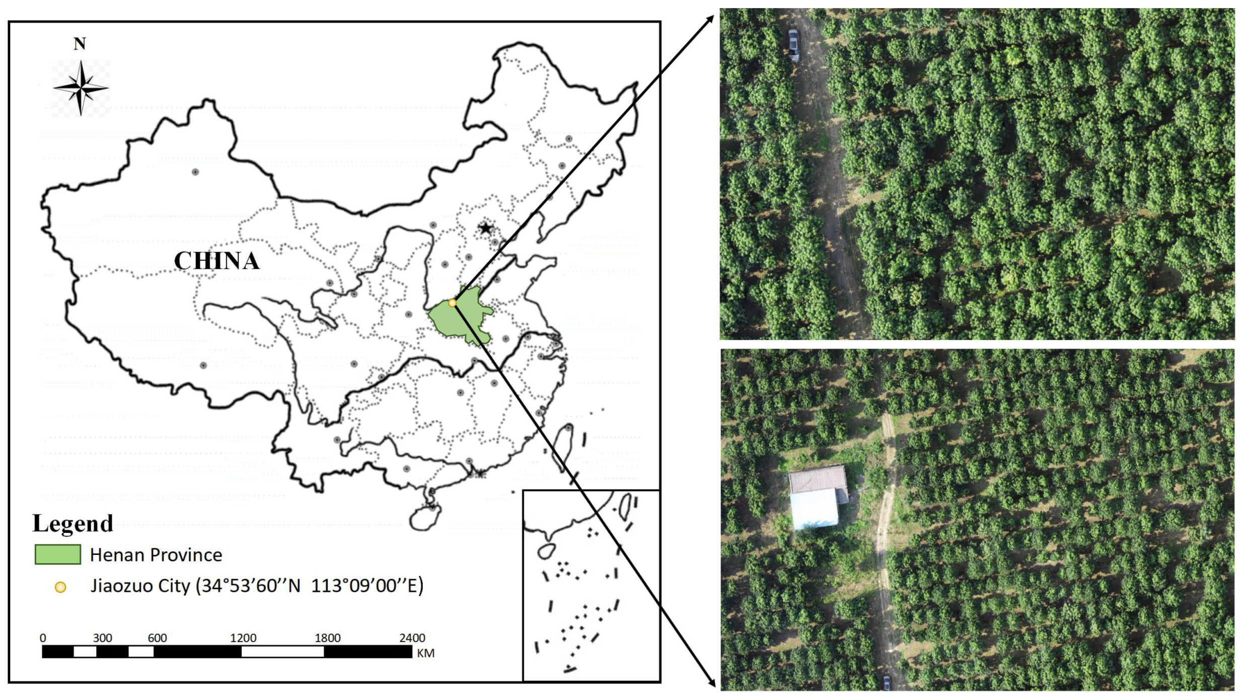 Forests 15 01375 g001