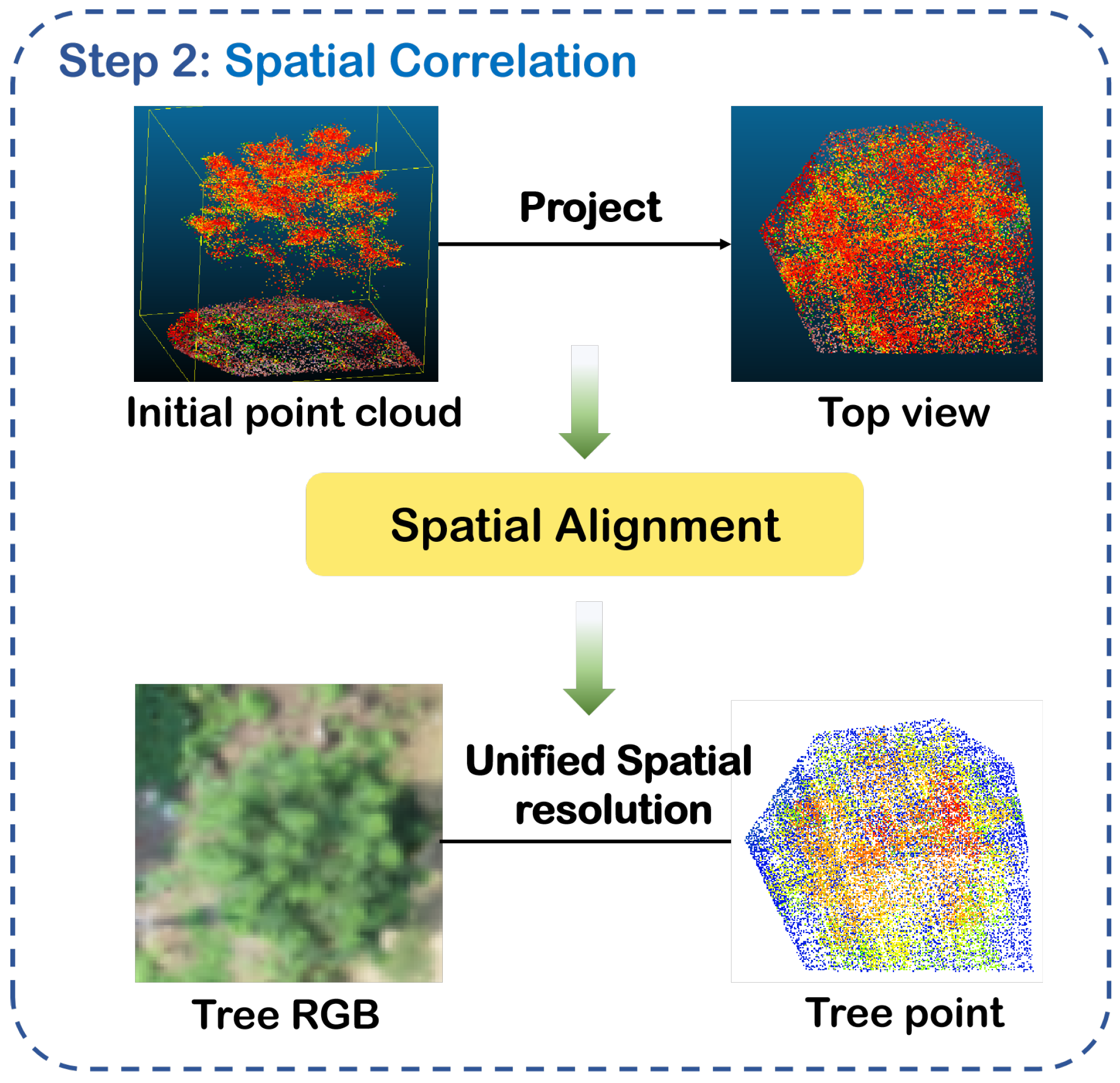 Forests 15 01375 g004