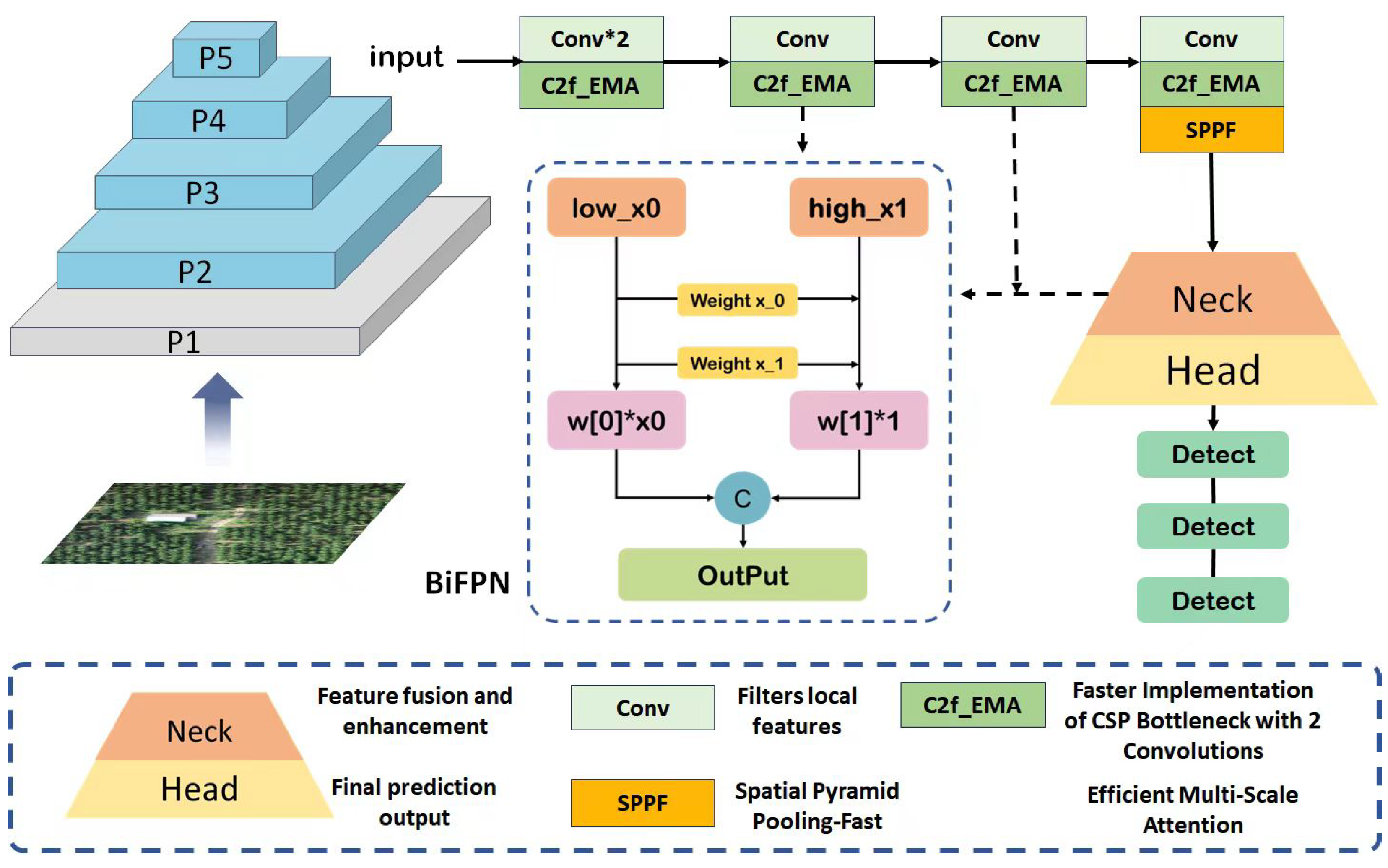 Forests 15 01375 g006