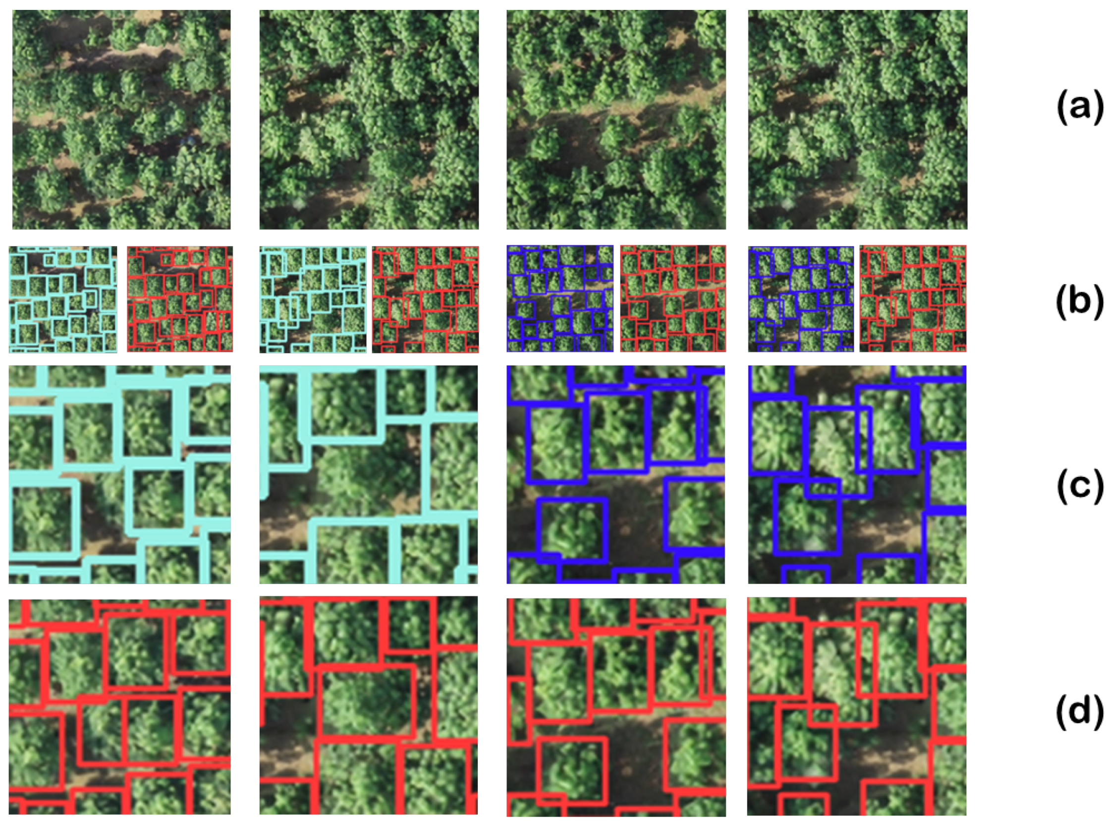 Forests 15 01375 g011