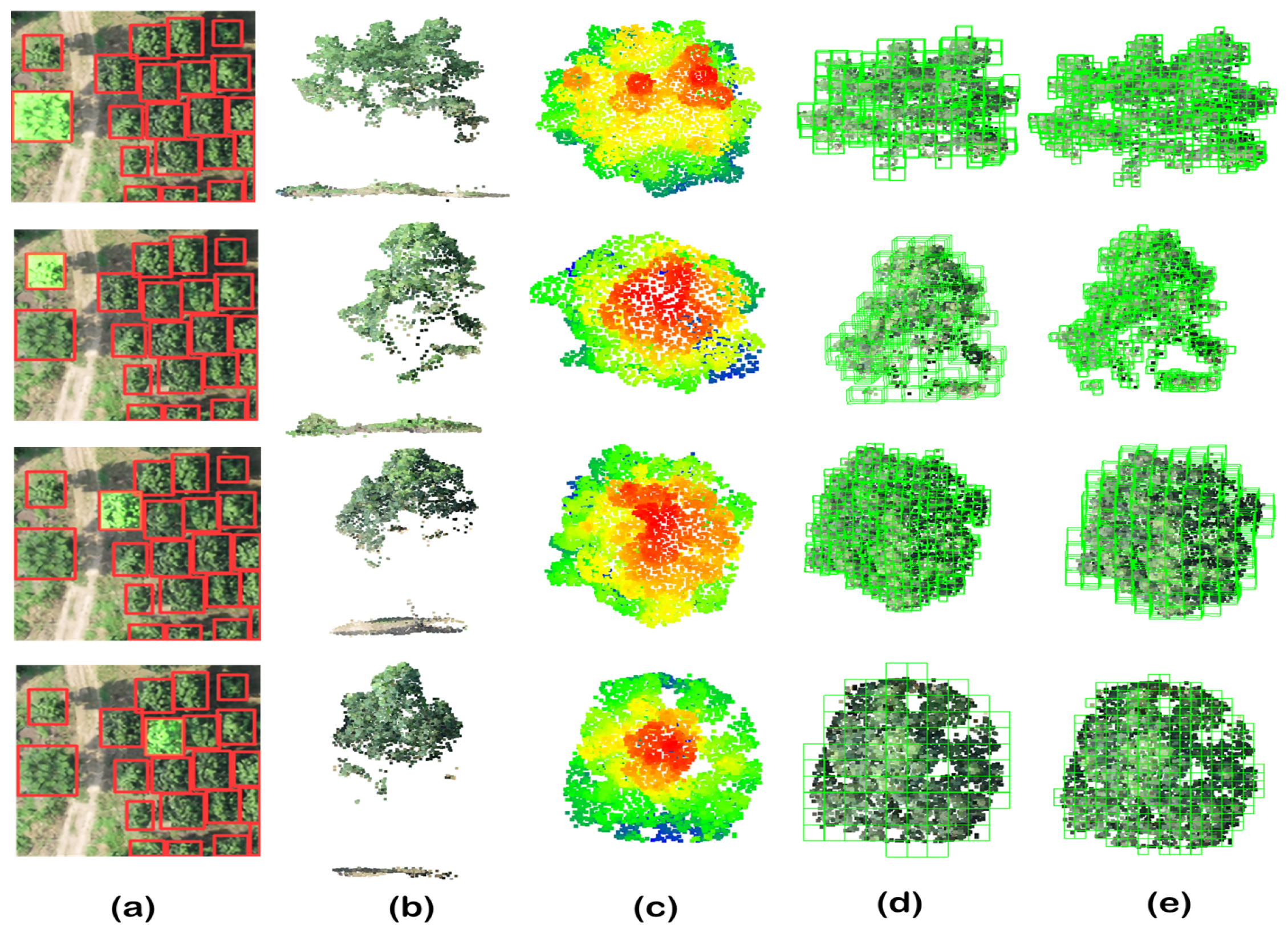 Forests 15 01375 g014