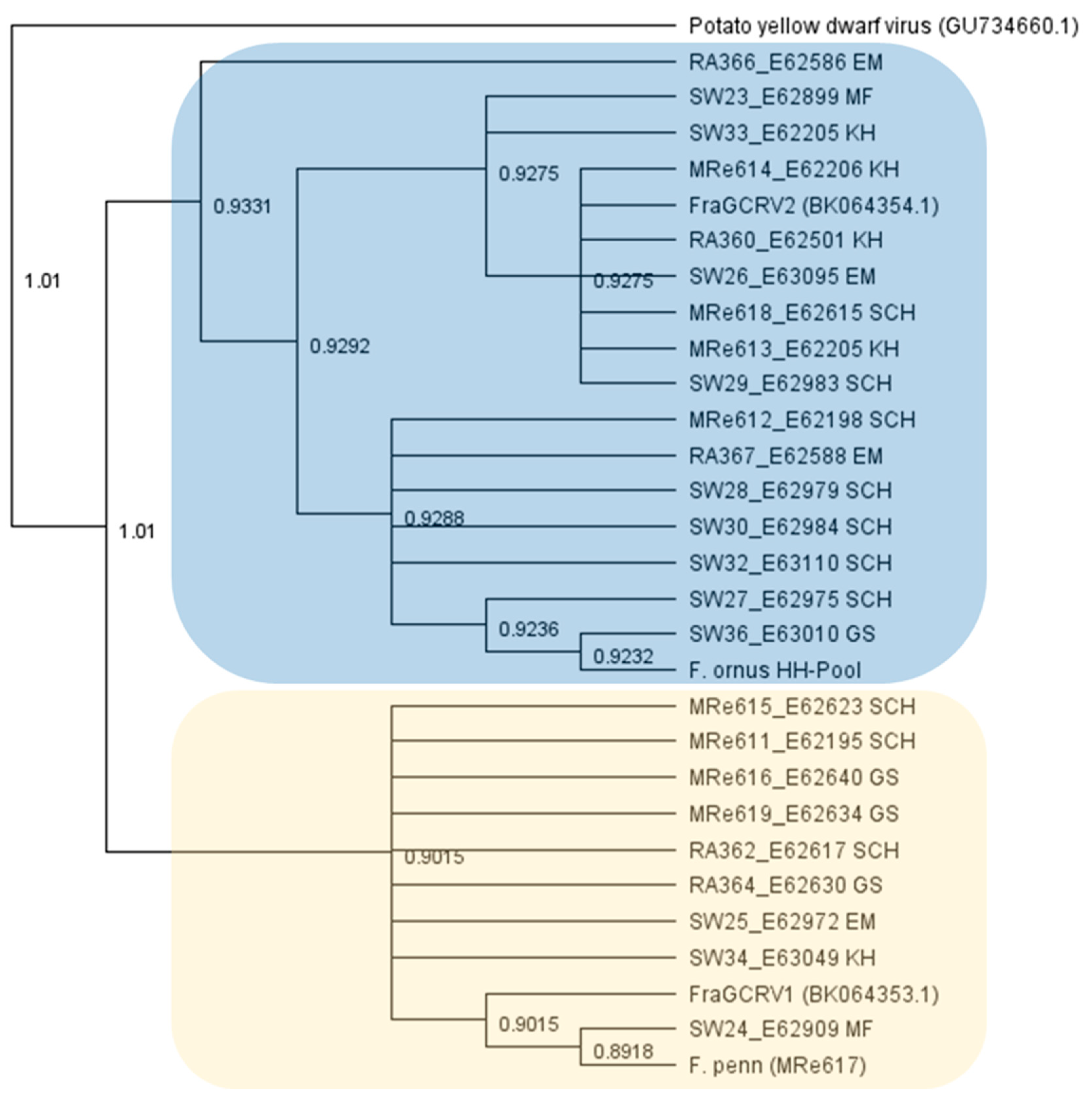 Forests 15 01379 g004 Forests 15 01379 g004
