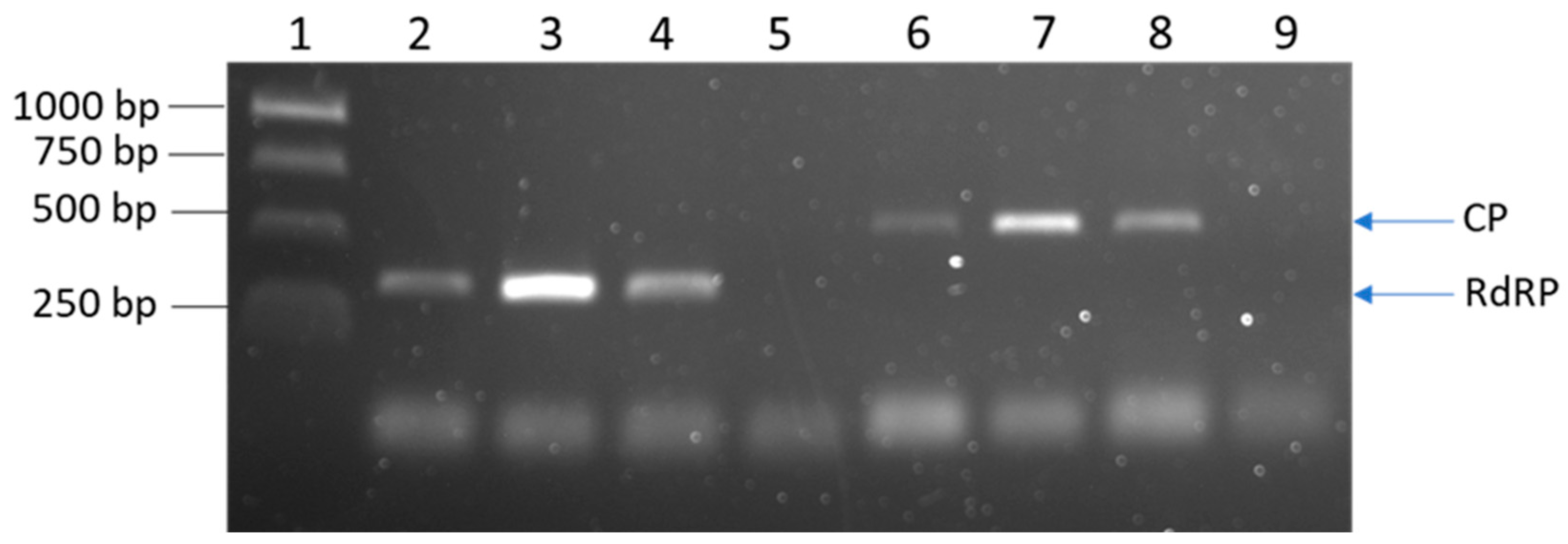 Forests 15 01379 g005 Forests 15 01379 g005